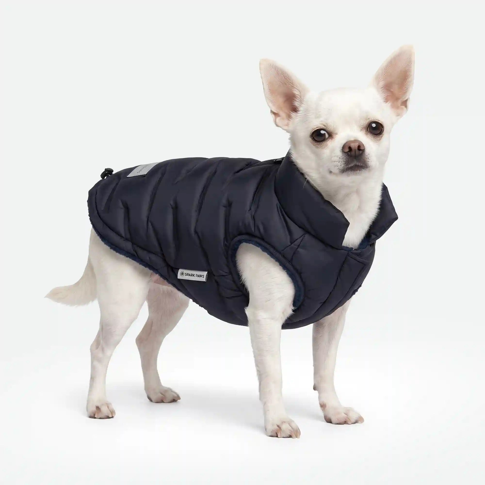sparkpawsmaut.com
