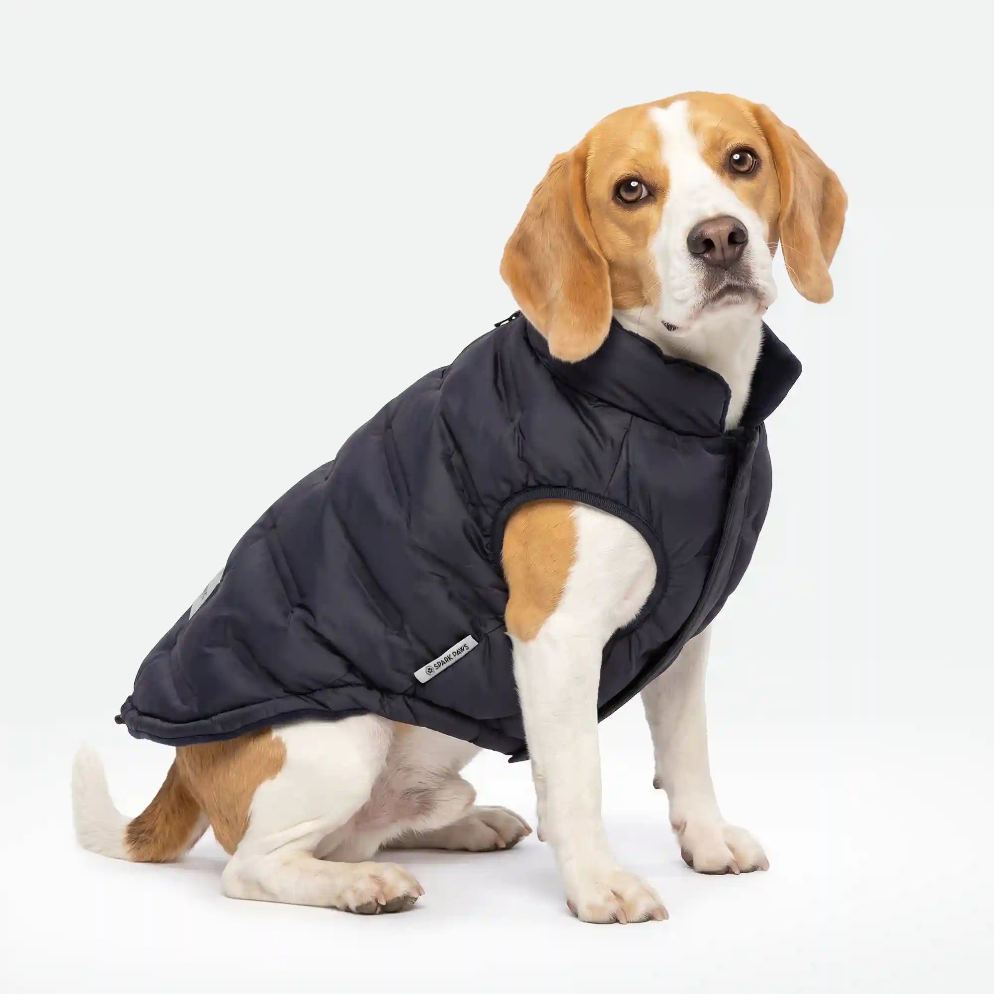 sparkpawsmaut.com