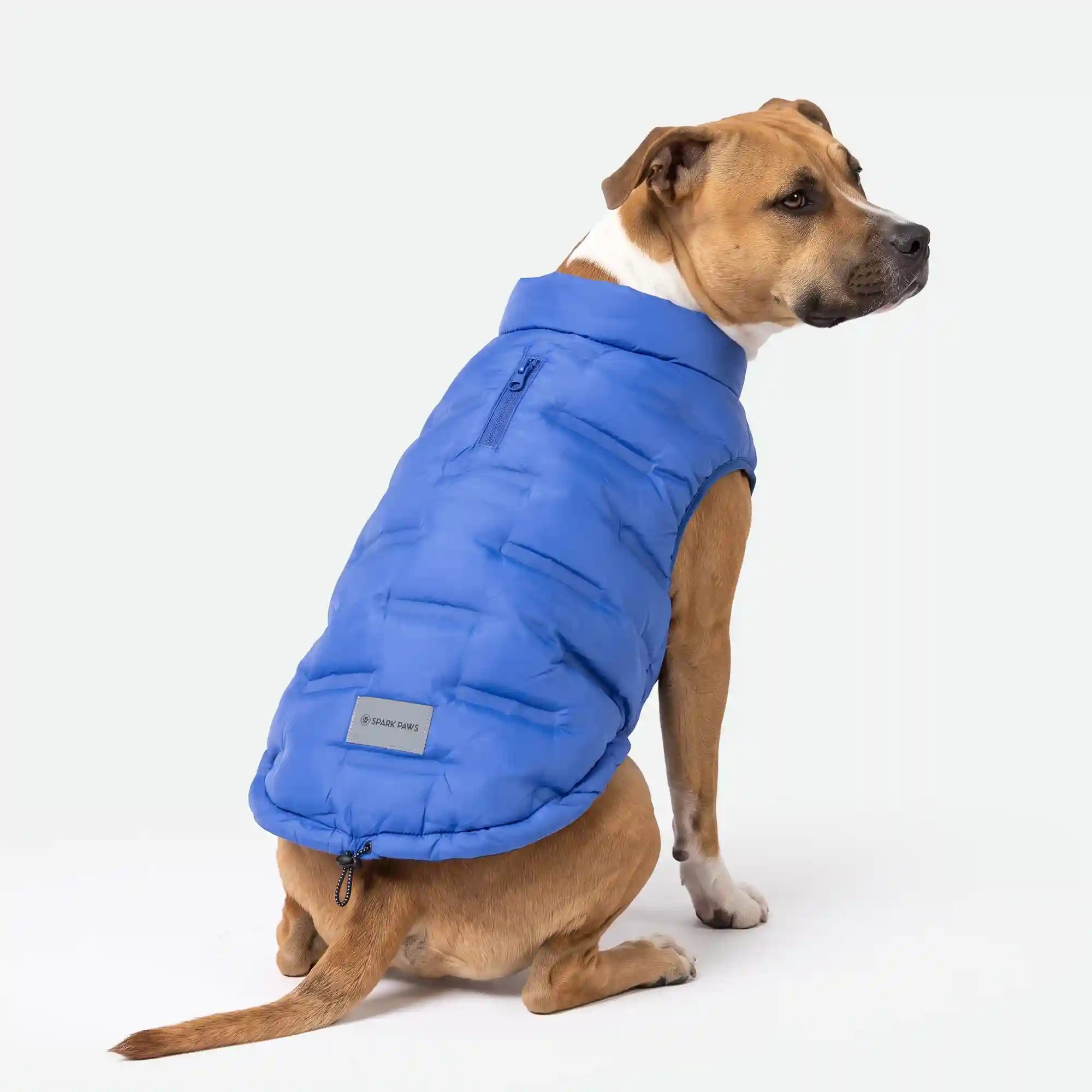 sparkpawsmaut.com
