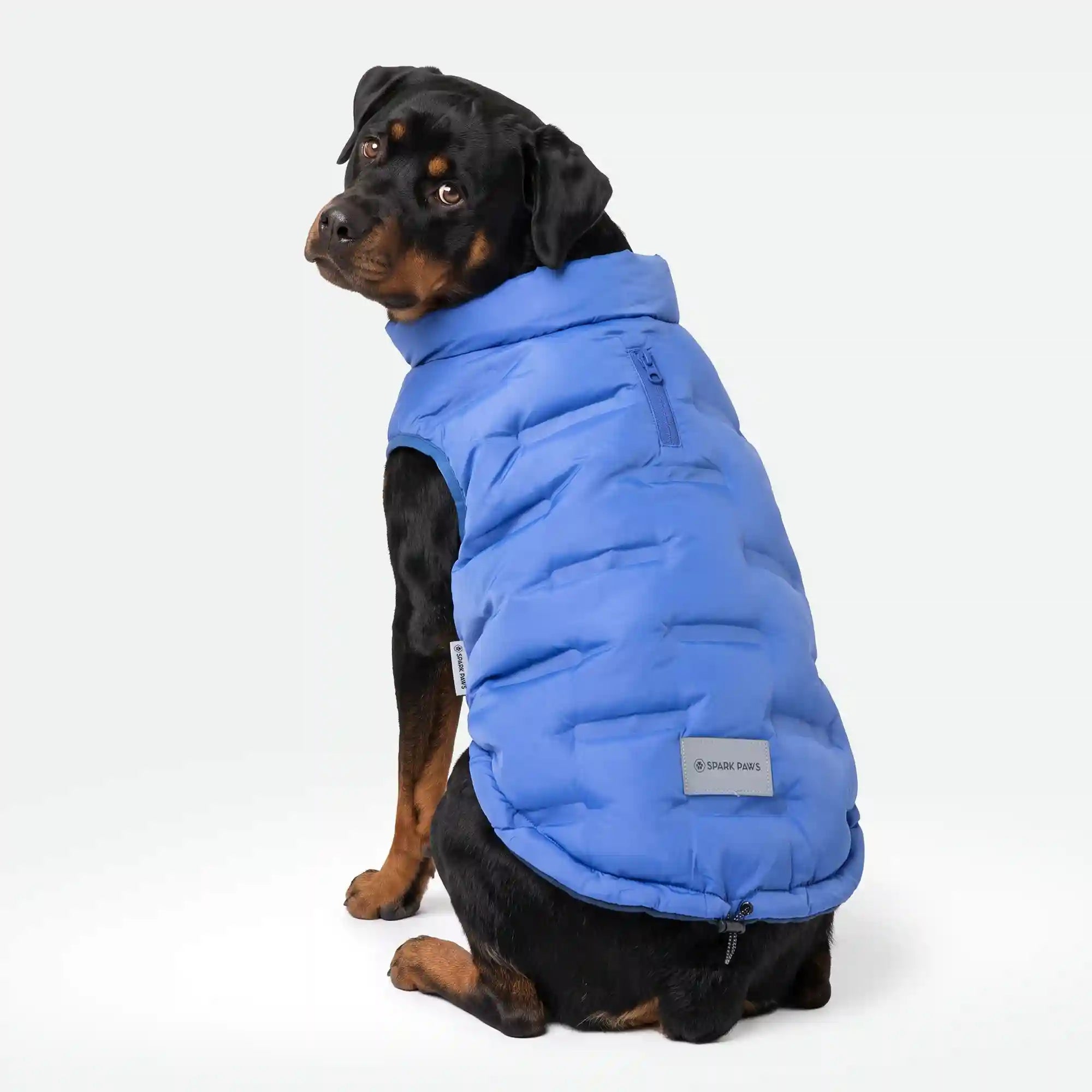 sparkpawsmaut.com