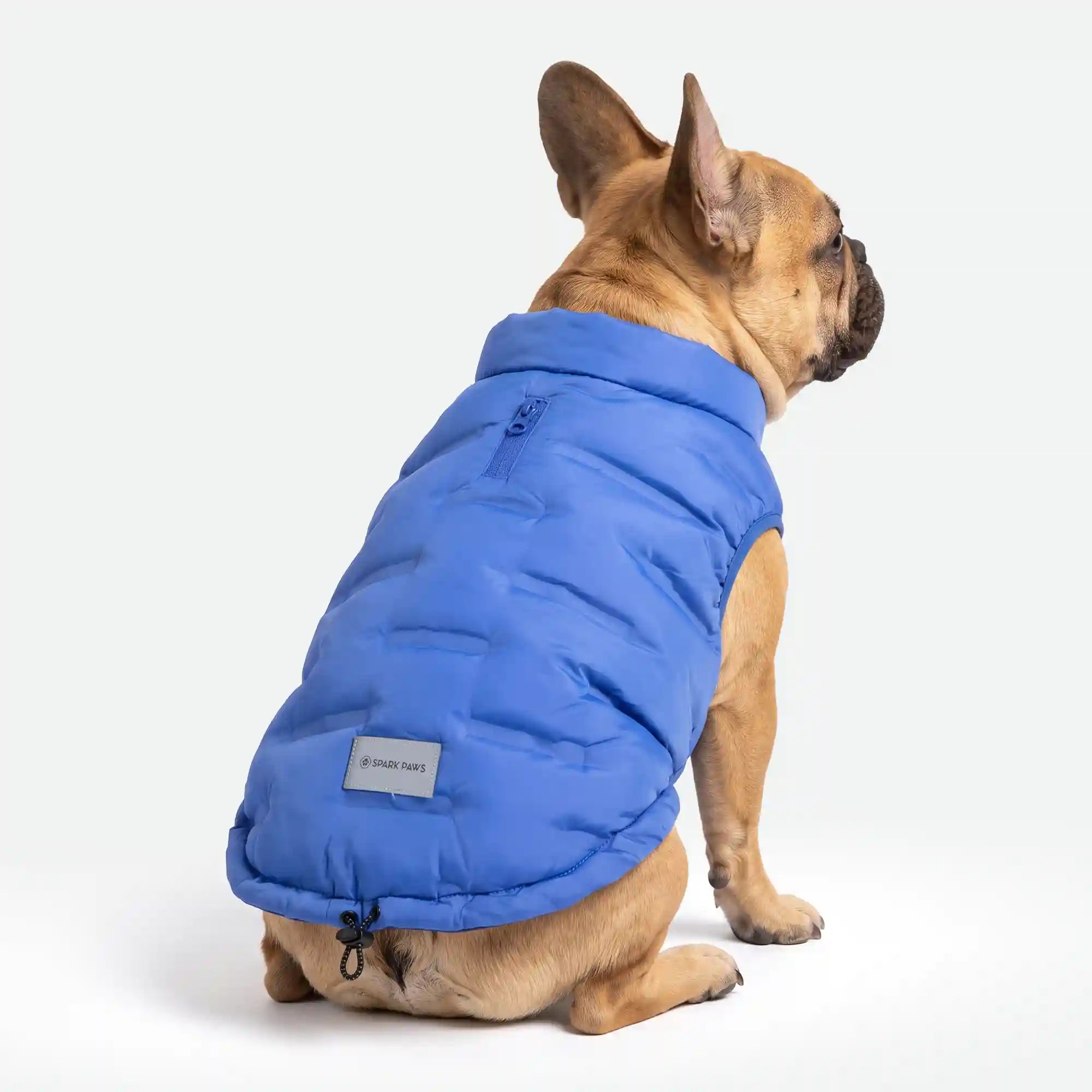 sparkpawsmaut.com