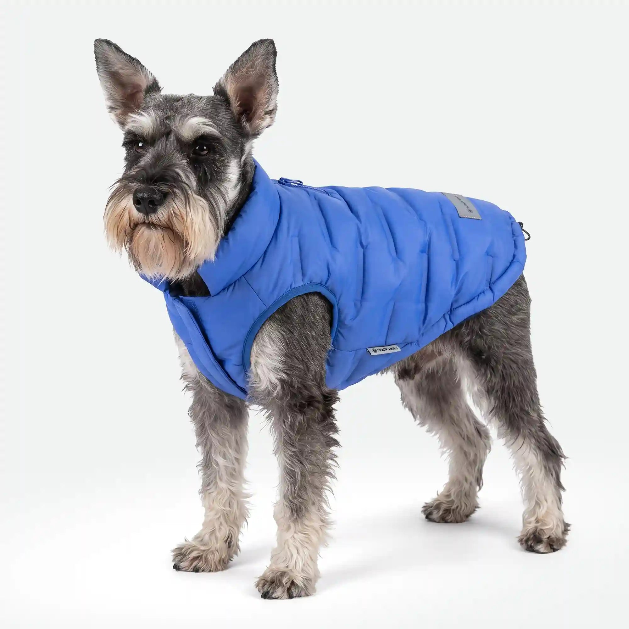 sparkpawsmaut.com