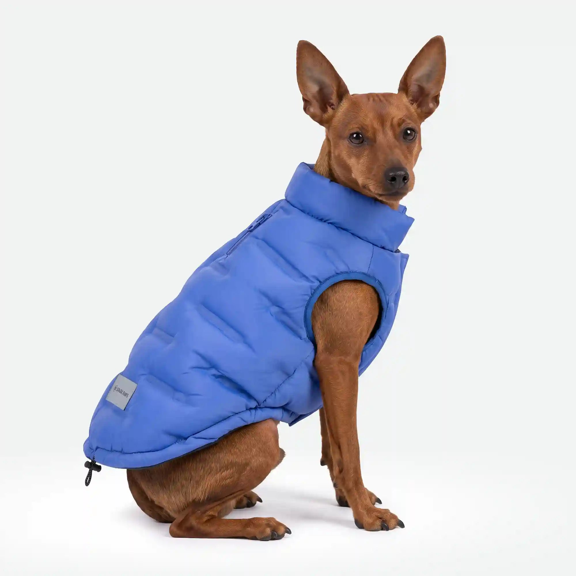 sparkpawsmaut.com