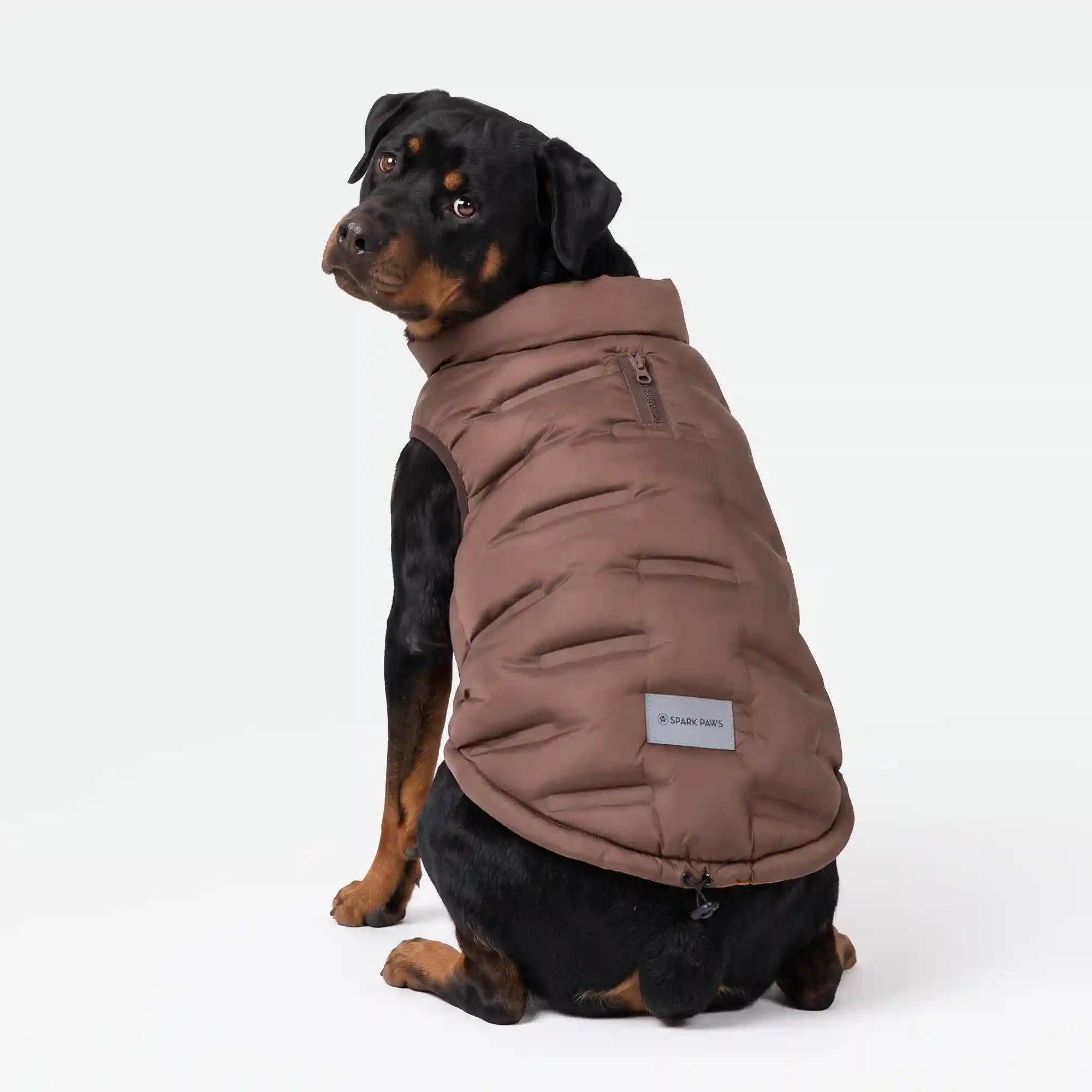 sparkpawsmaut.com