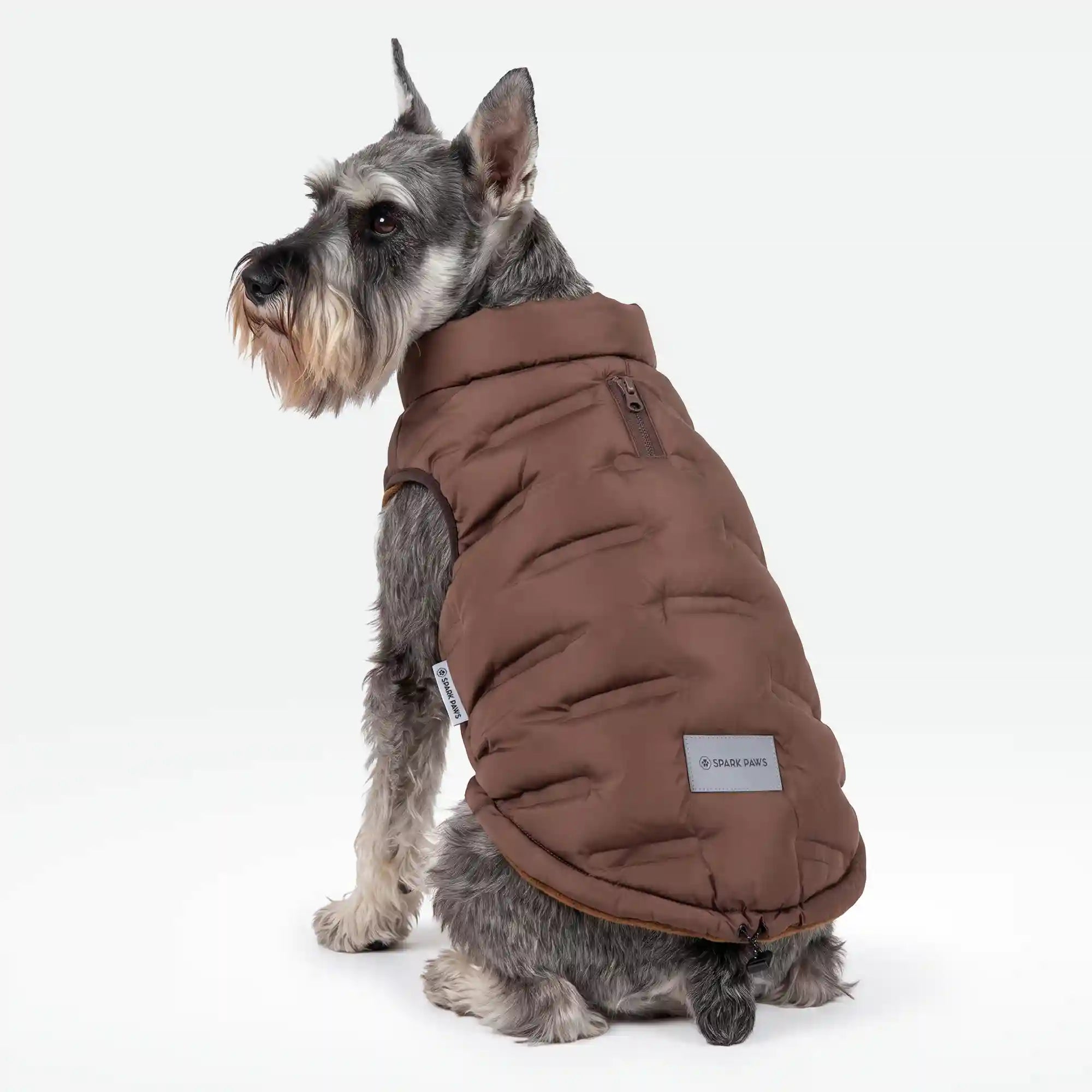 sparkpawsmaut.com