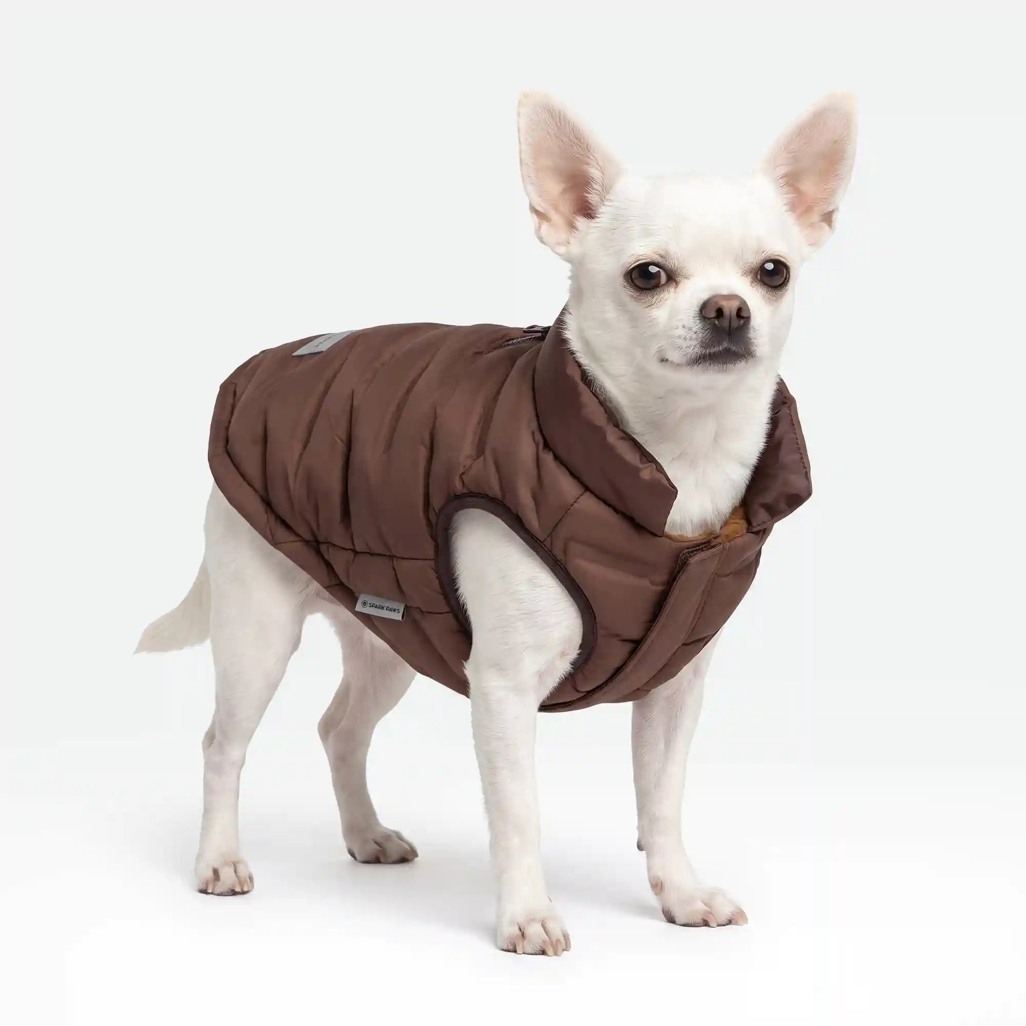 sparkpawsmaut.com