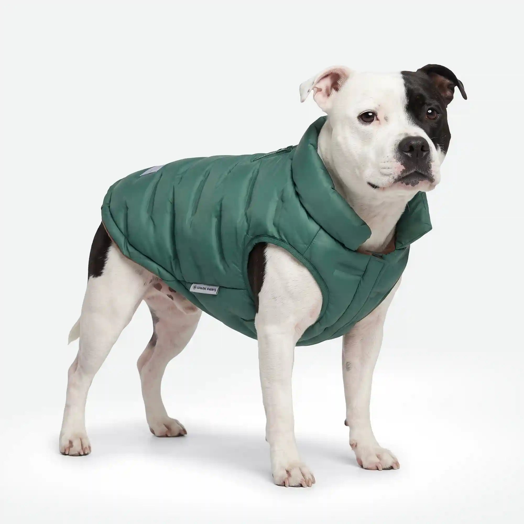 sparkpawsmaut.com