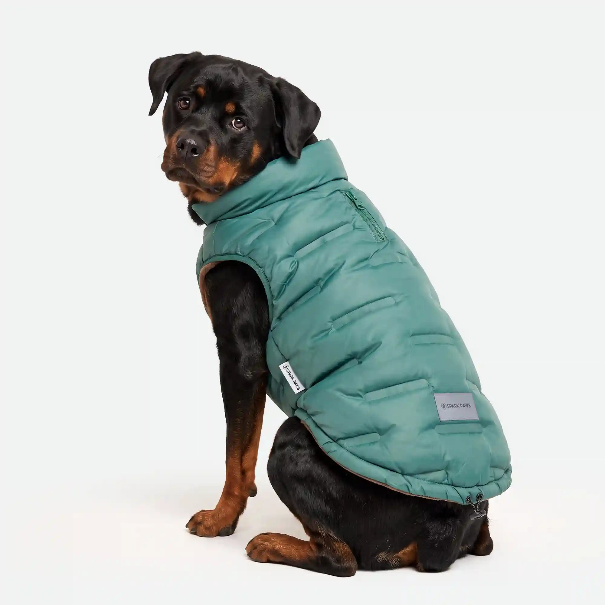 sparkpawsmaut.com