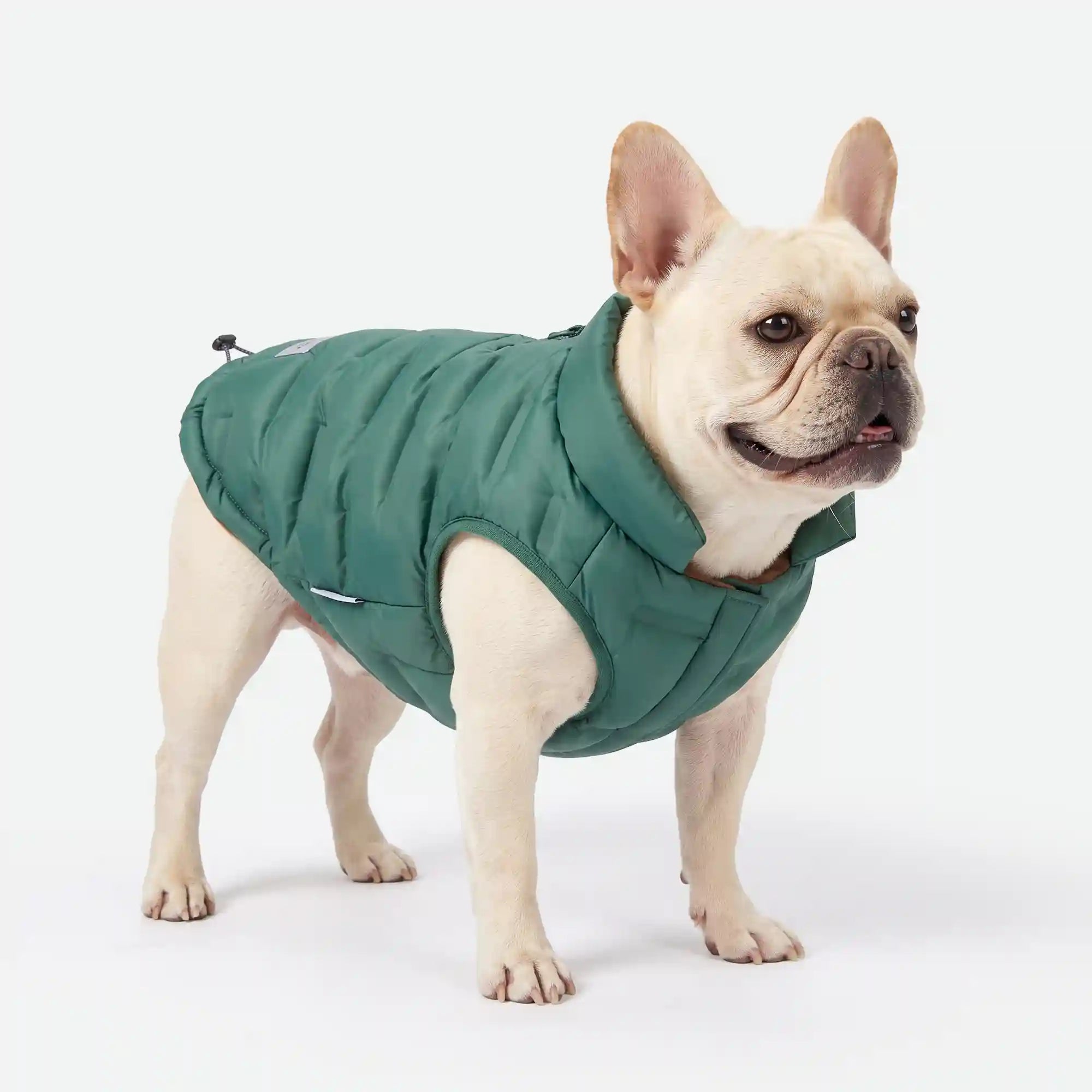 sparkpawsmaut.com
