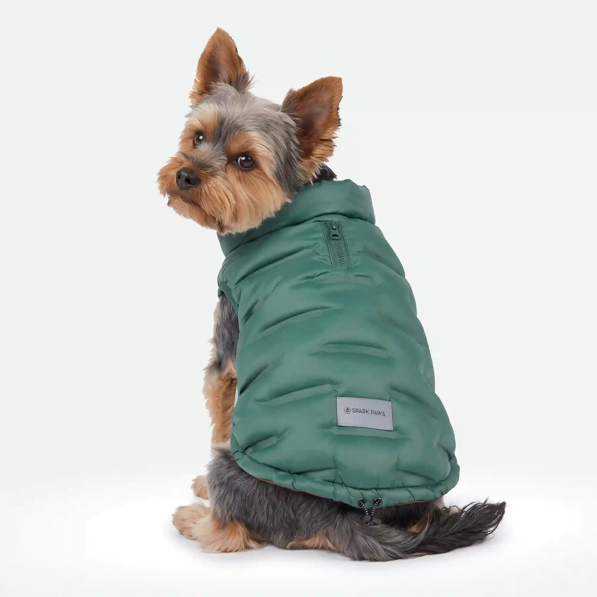 sparkpawsmaut.com
