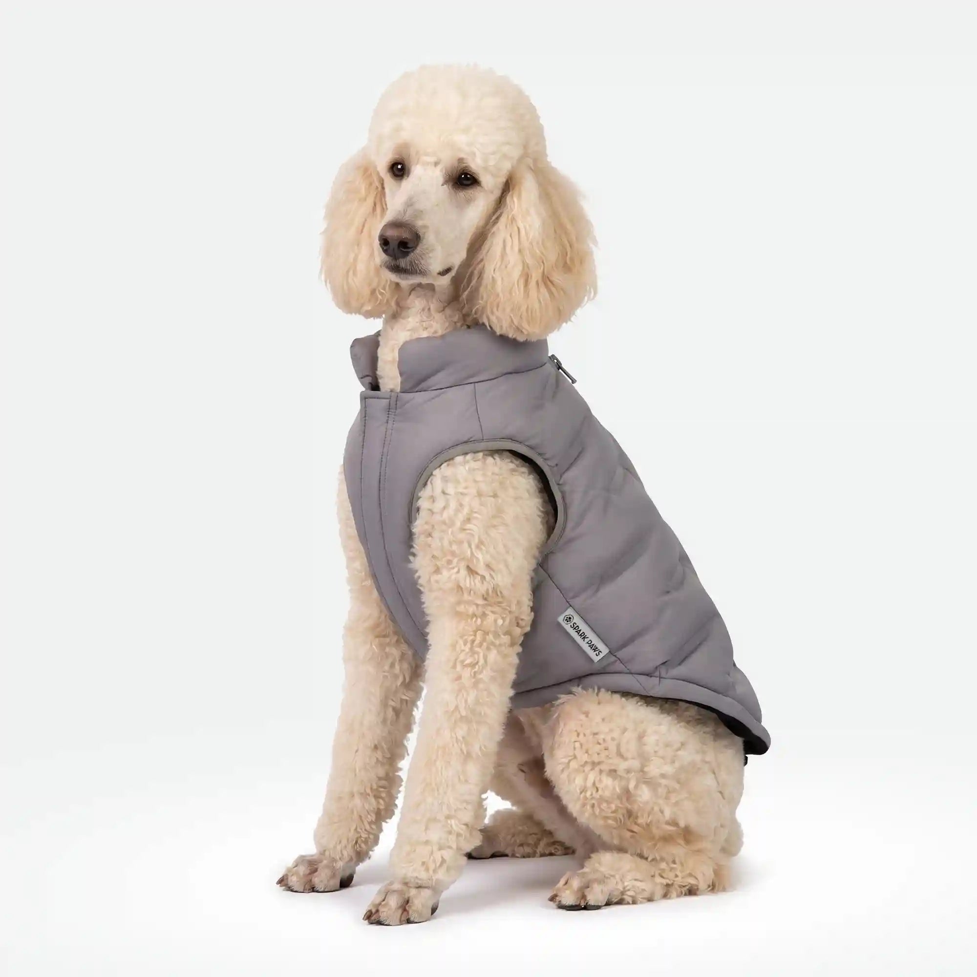 sparkpawsmaut.com