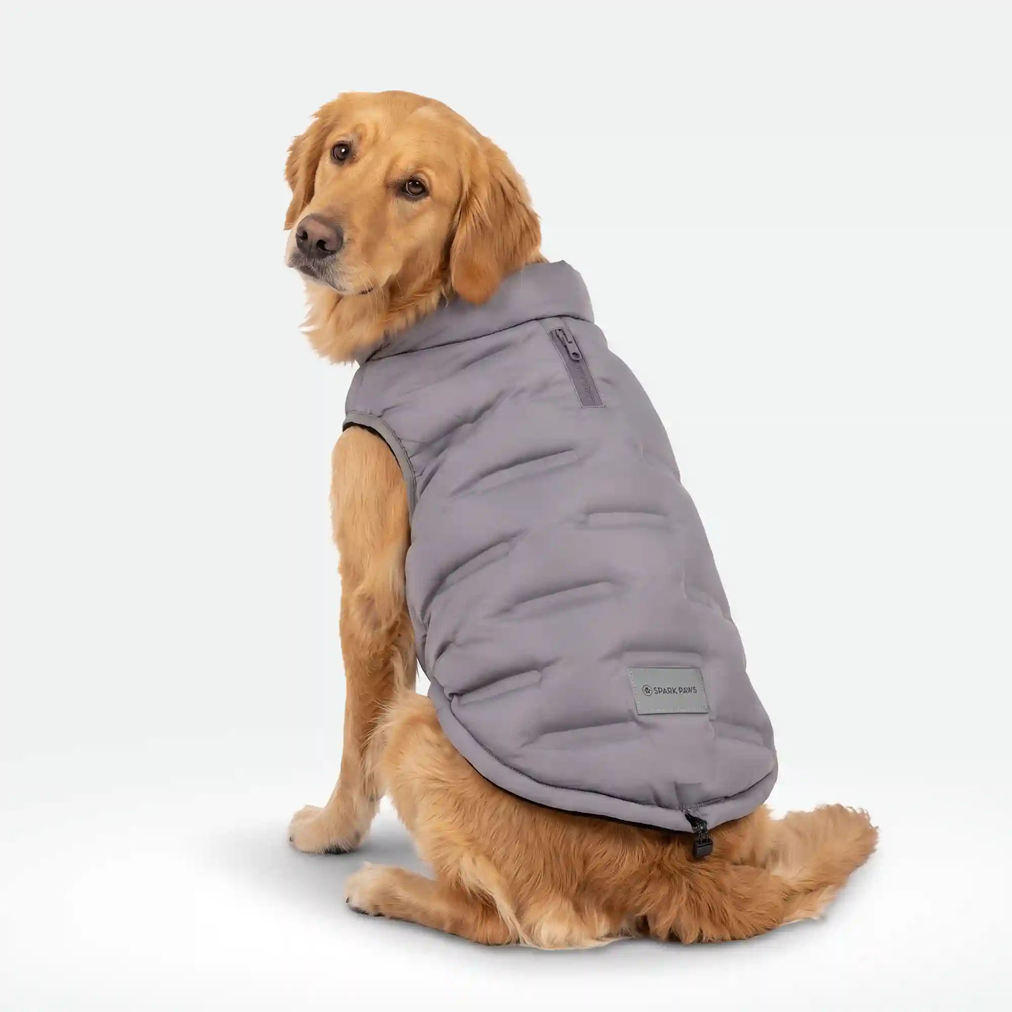 sparkpawsmaut.com