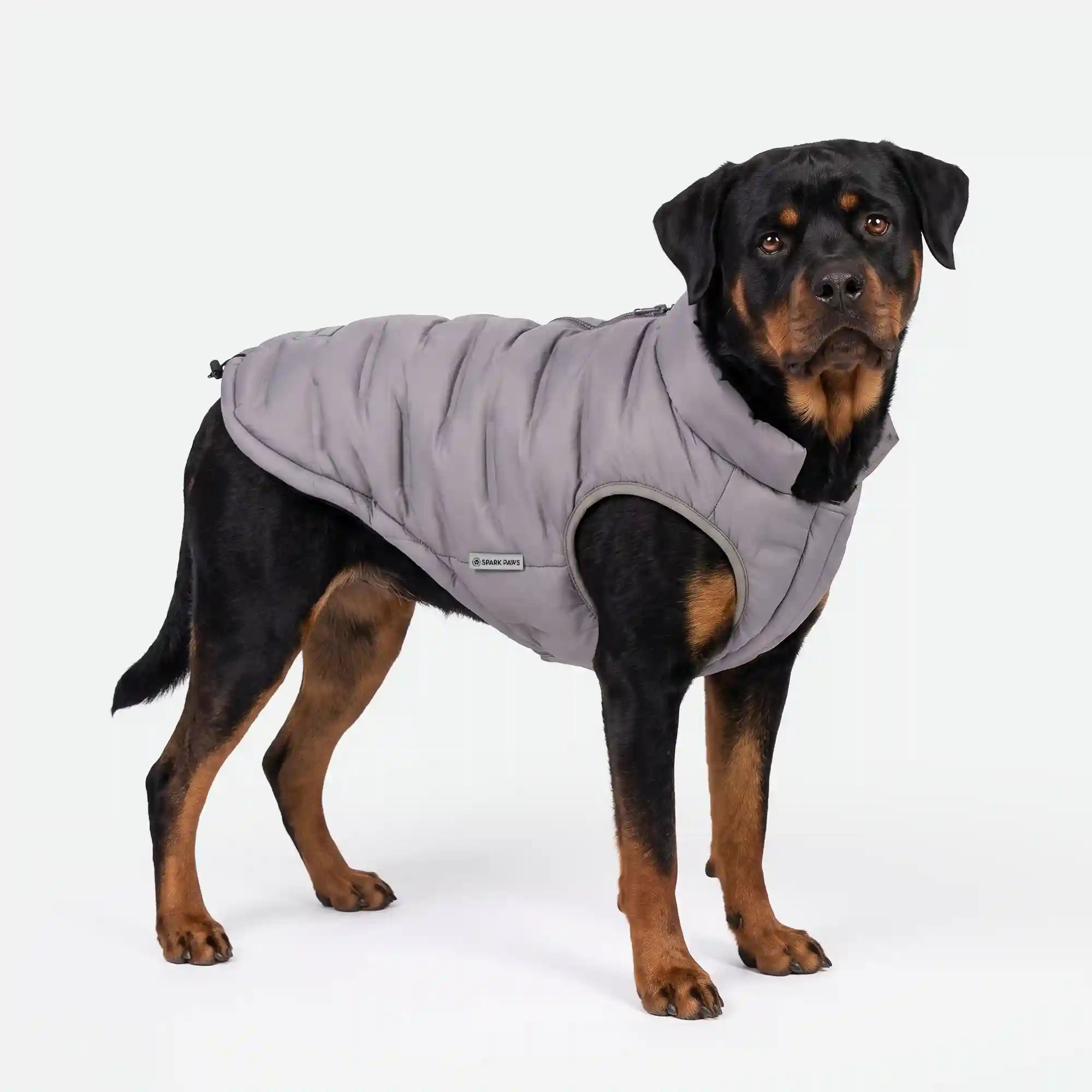sparkpawsmaut.com