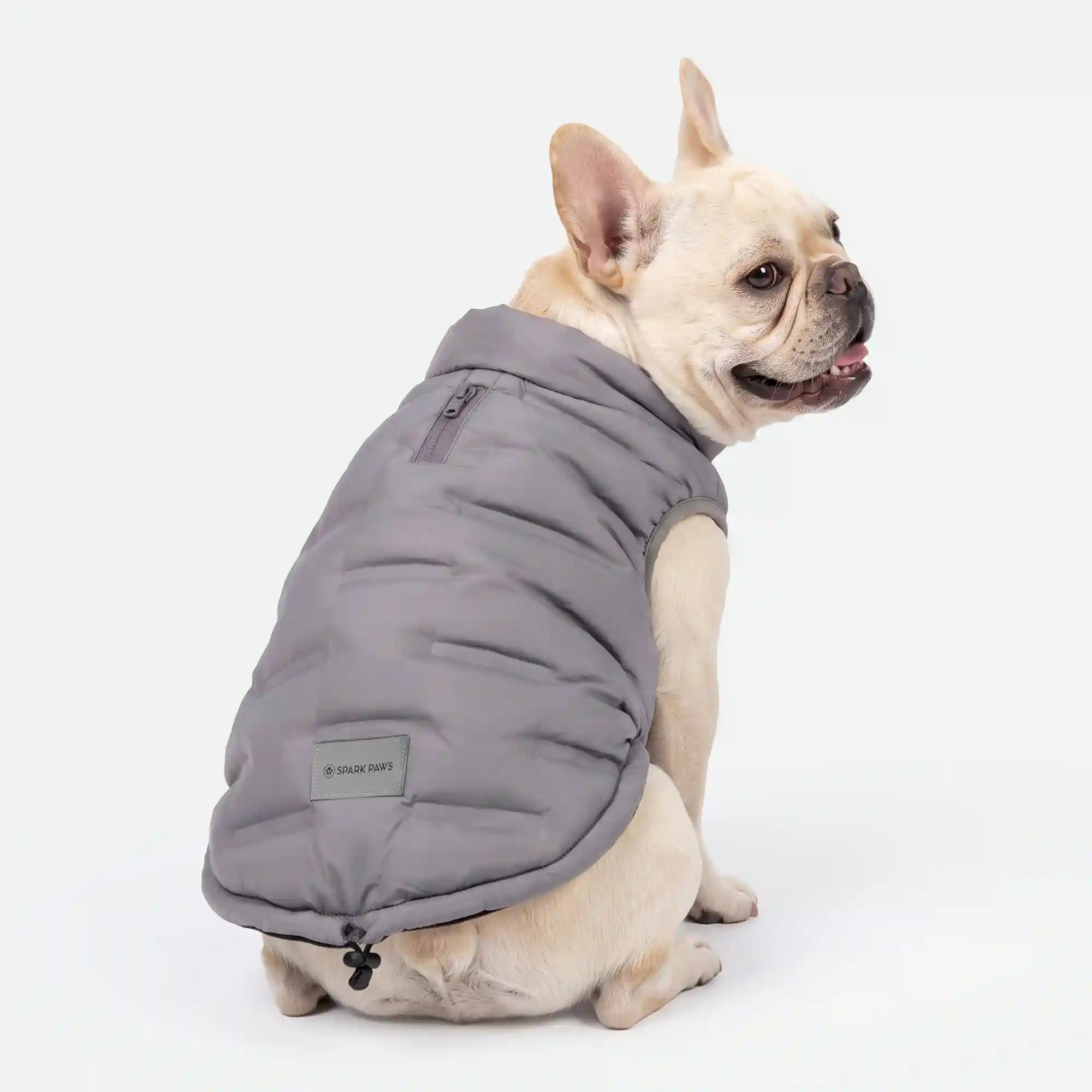 sparkpawsmaut.com