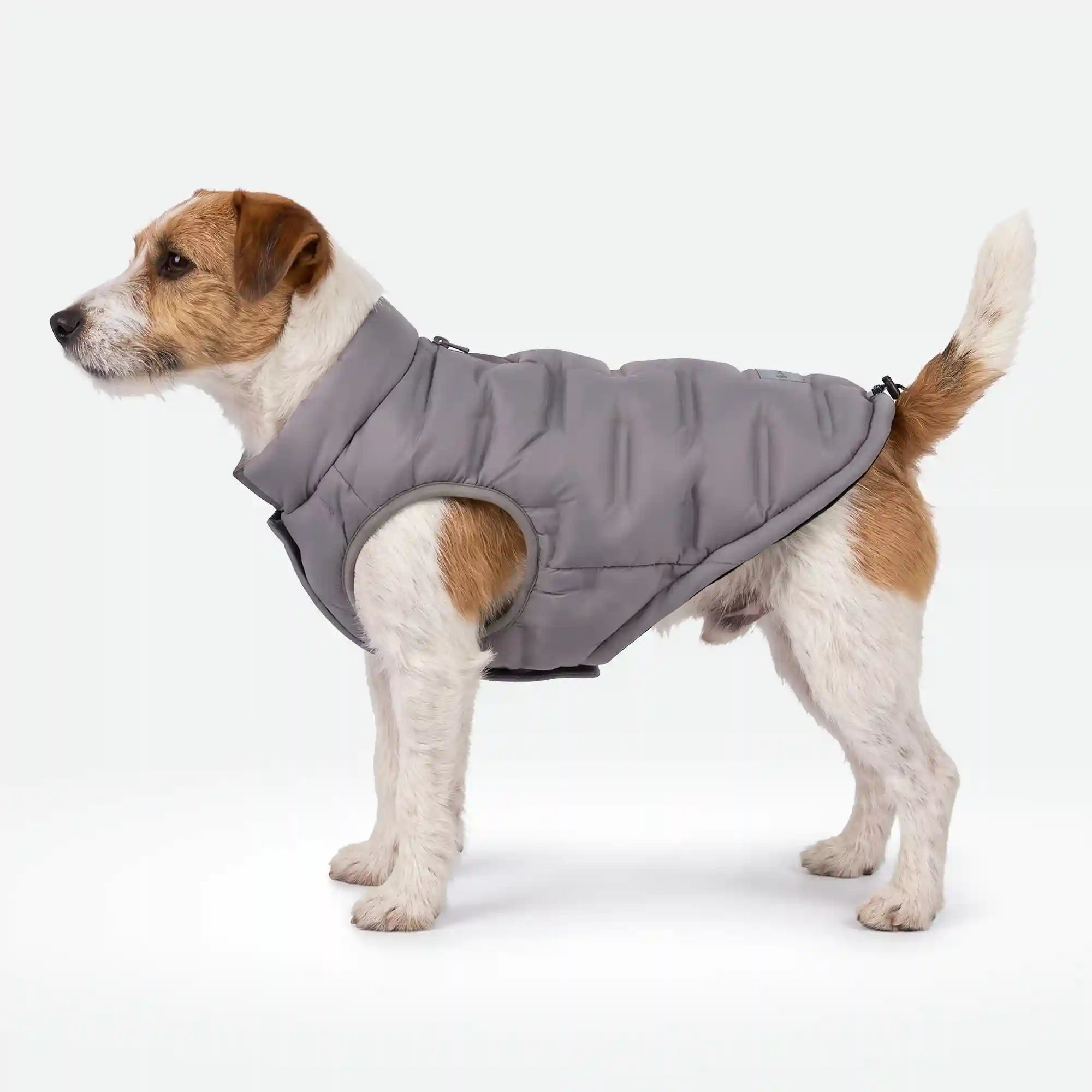 sparkpawsmaut.com