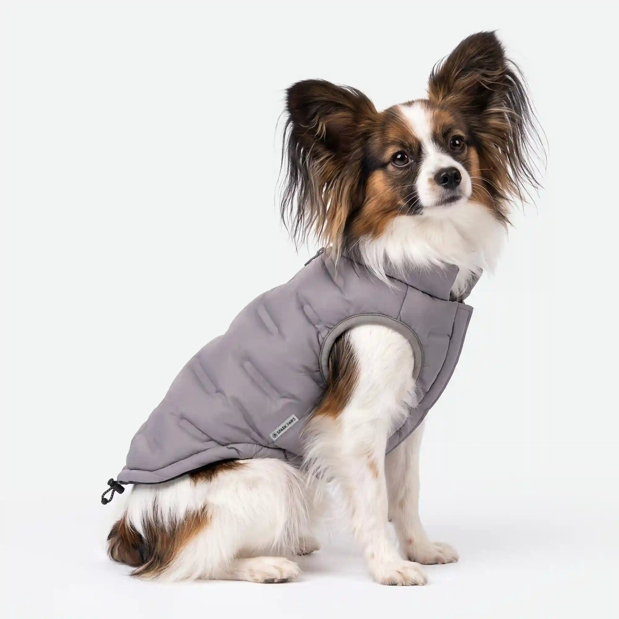 sparkpawsmaut.com