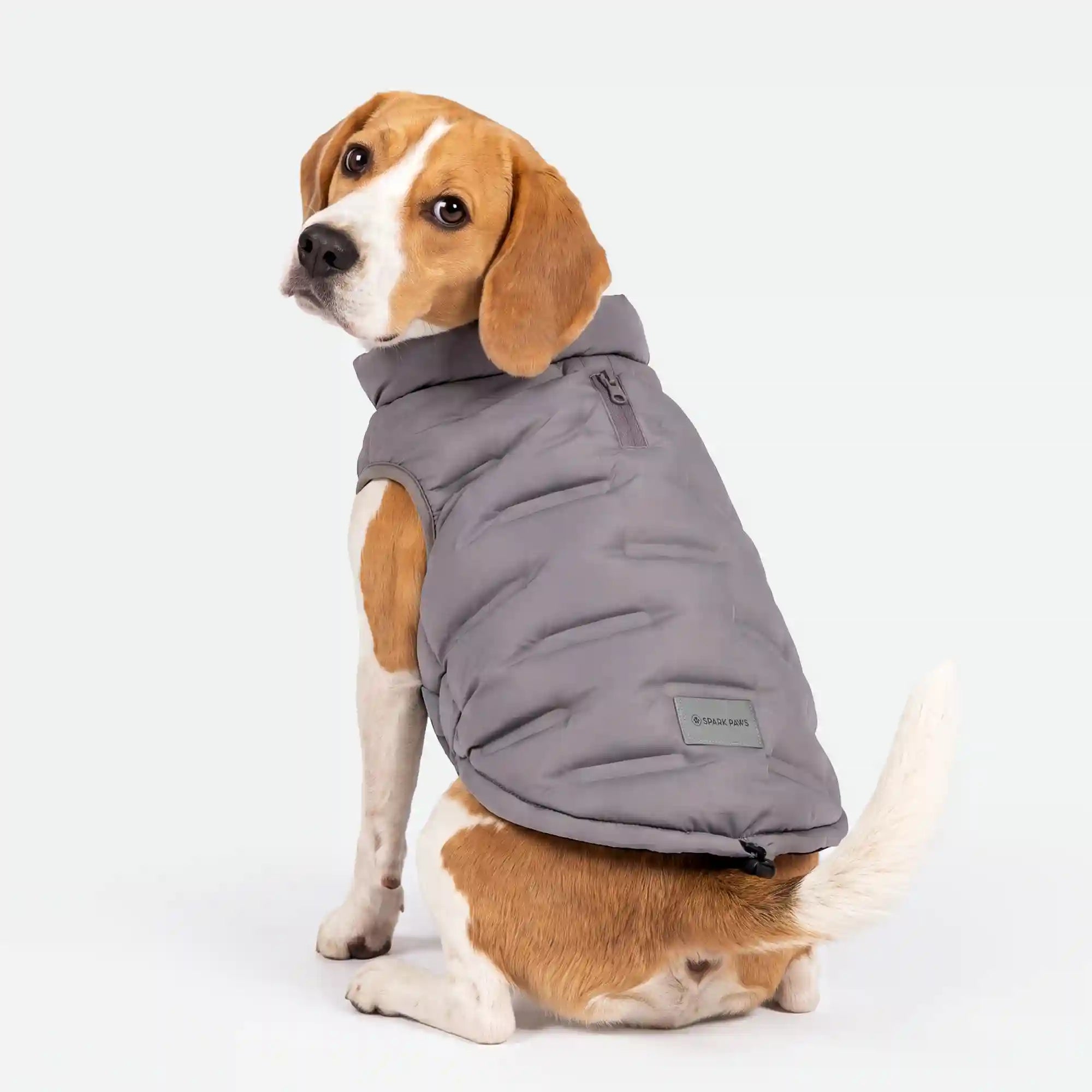 sparkpawsmaut.com