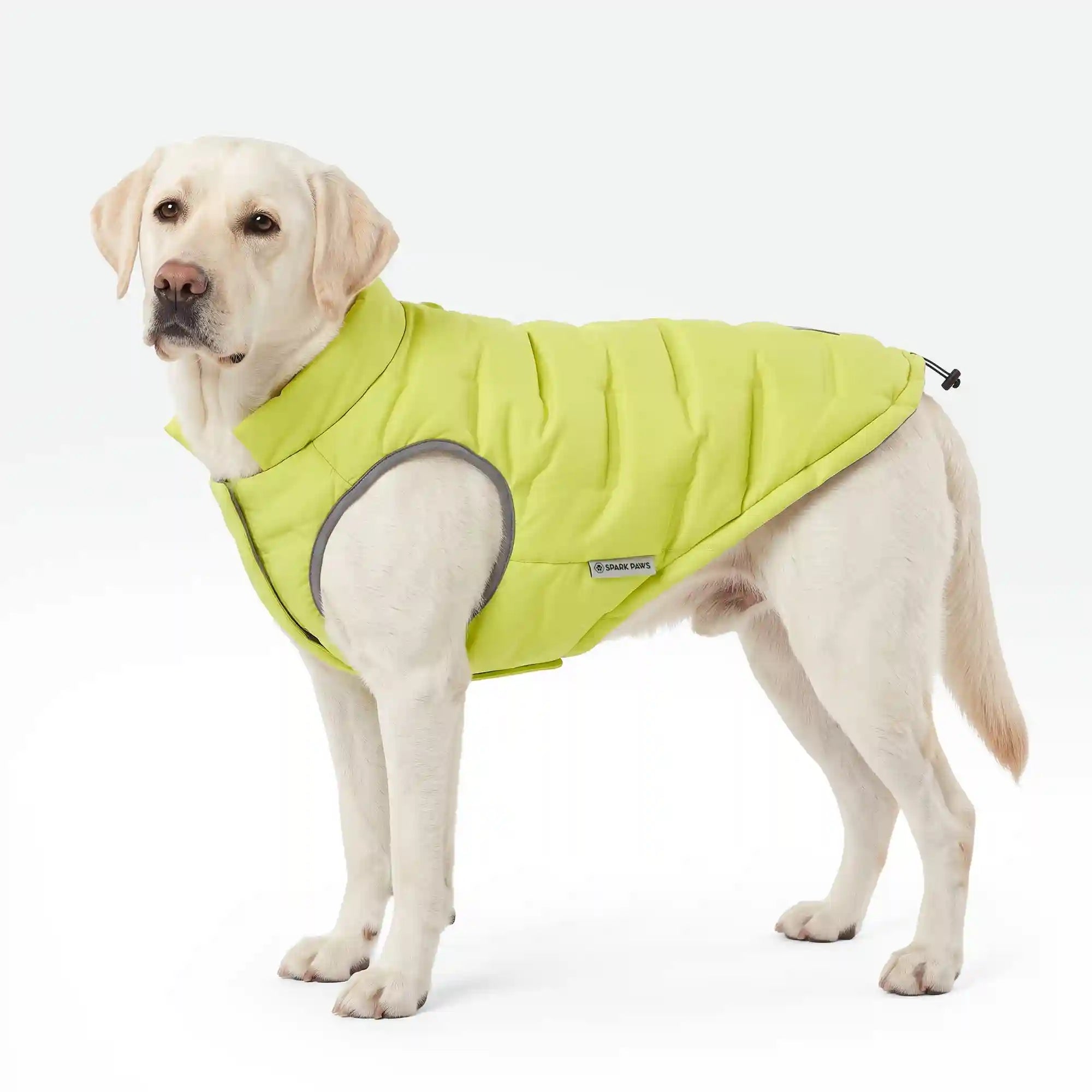 sparkpawsmaut.com