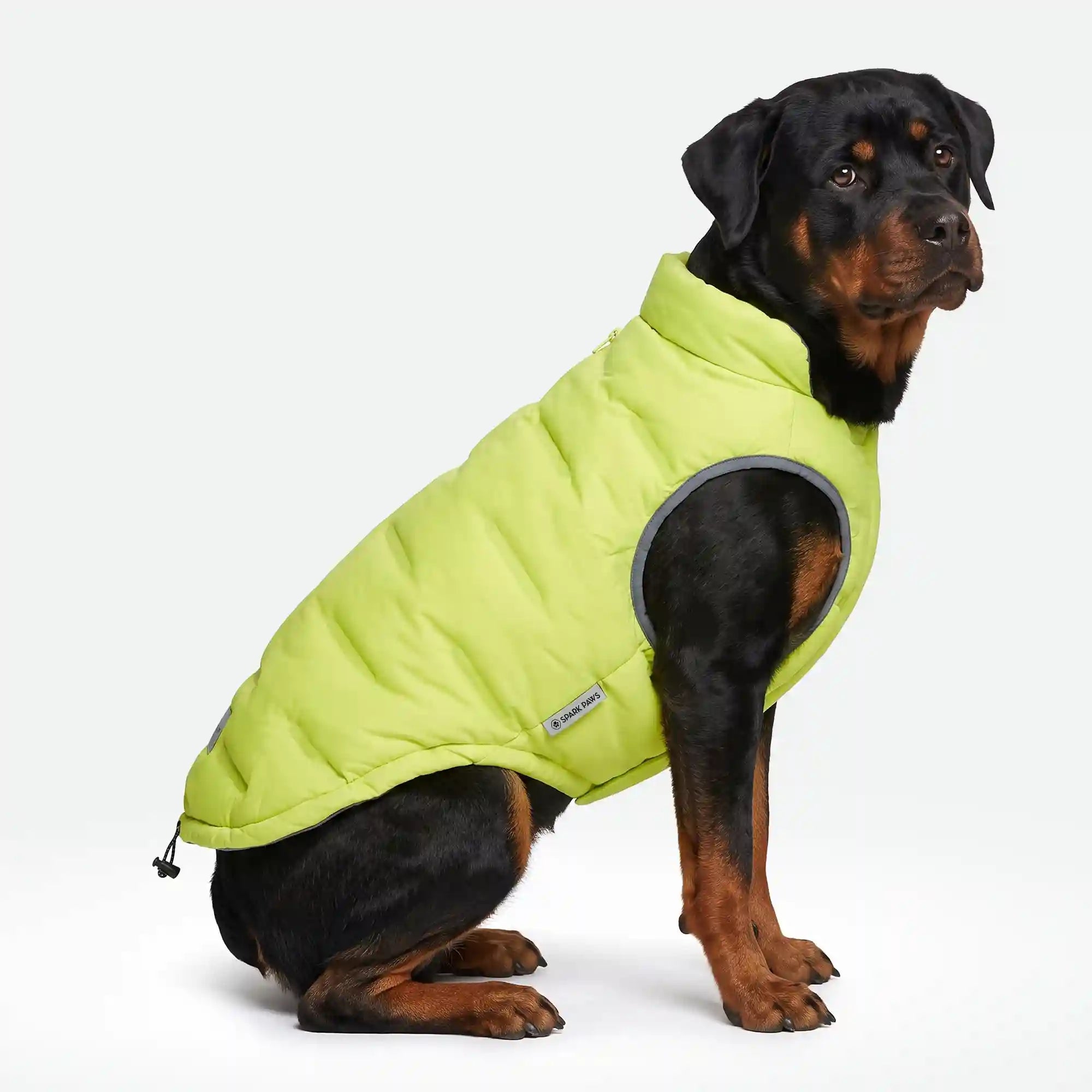 sparkpawsmaut.com