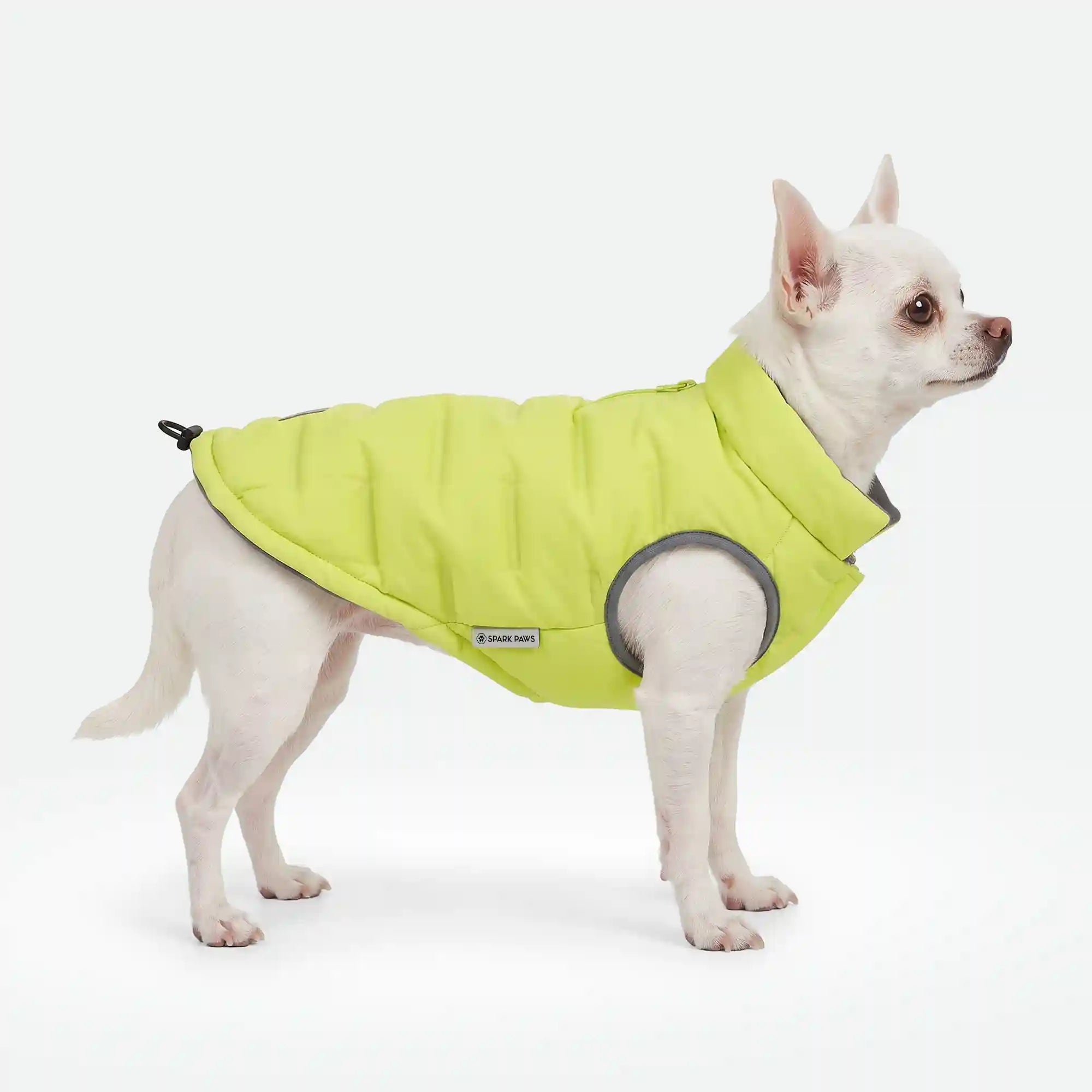 sparkpawsmaut.com