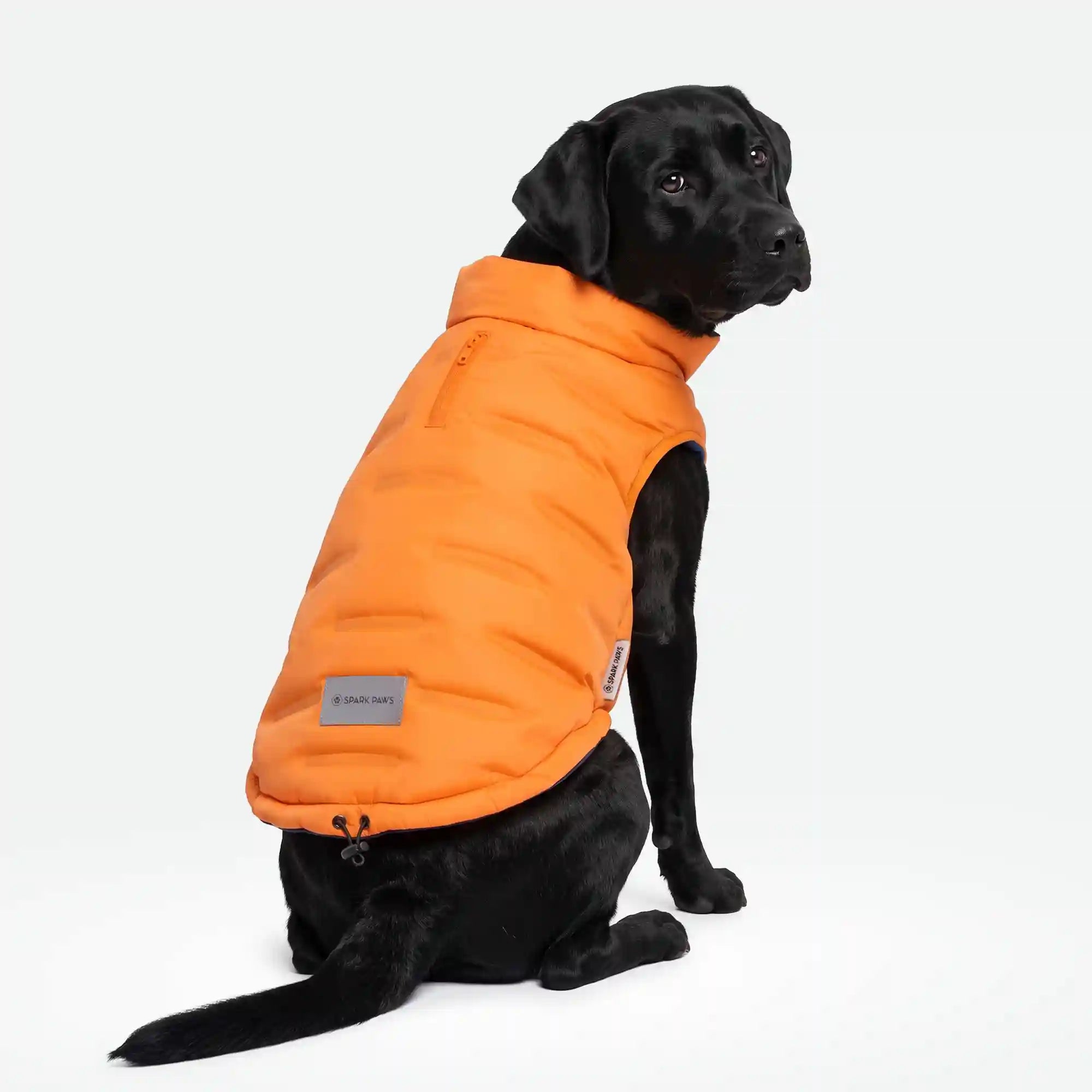 sparkpawsmaut.com