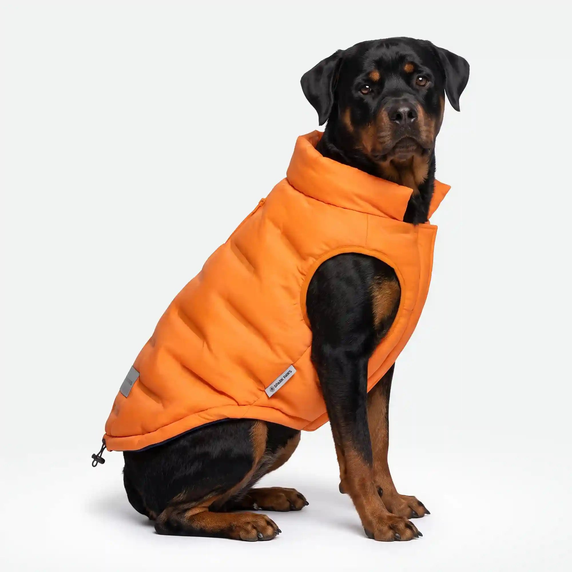 sparkpawsmaut.com