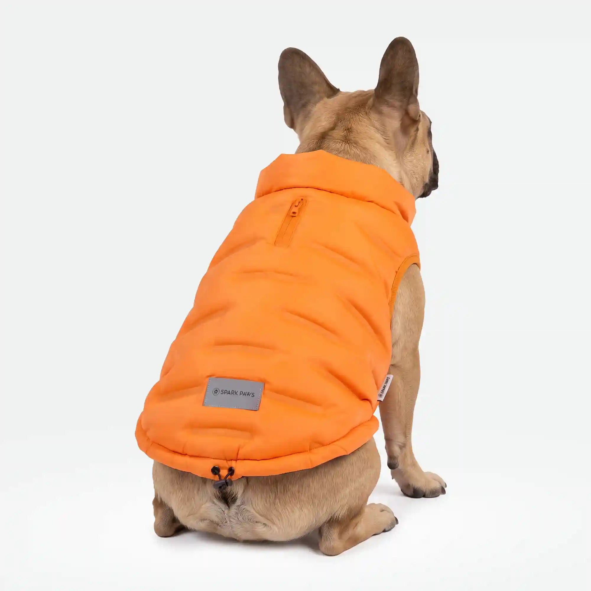 sparkpawsmaut.com