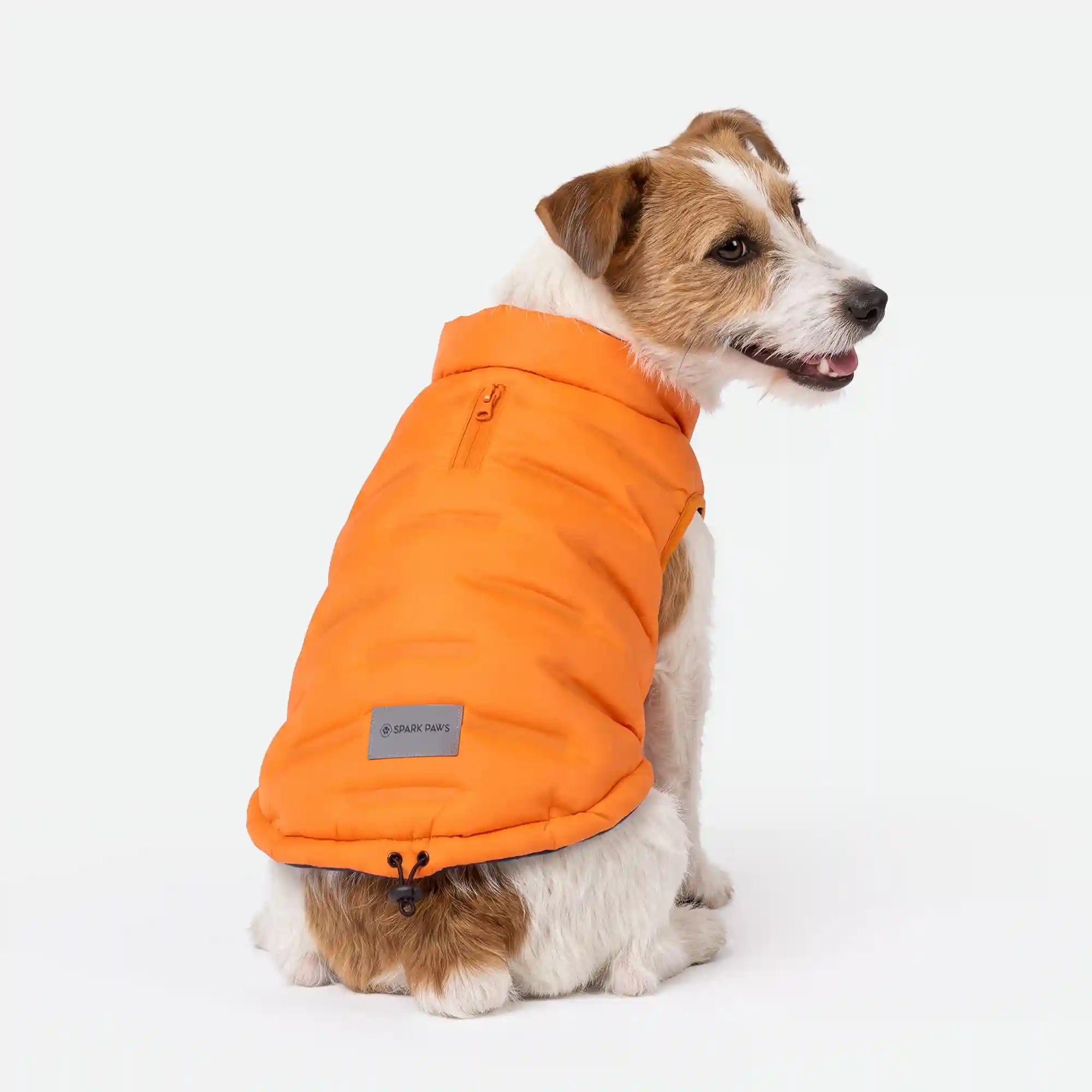 sparkpawsmaut.com