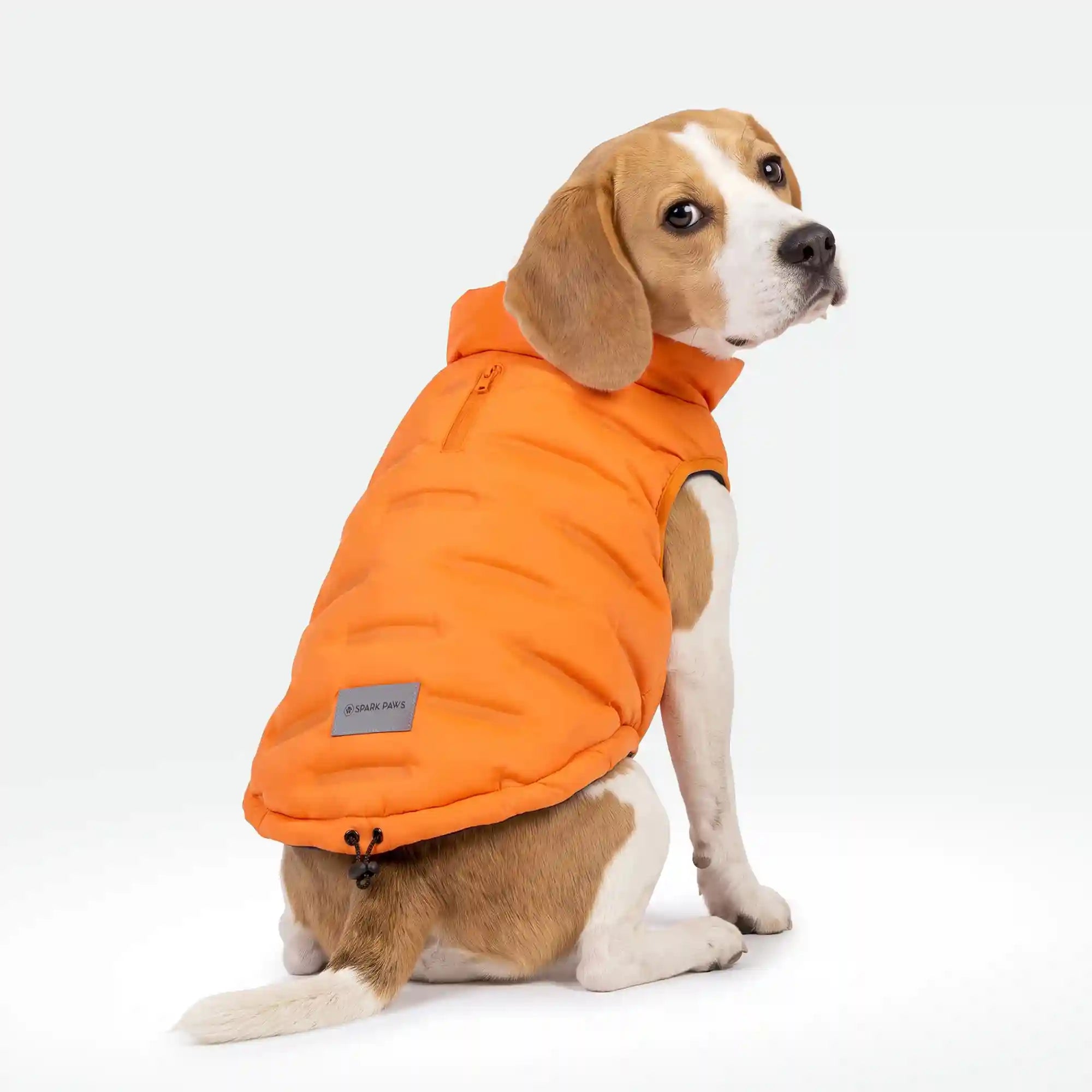 sparkpawsmaut.com