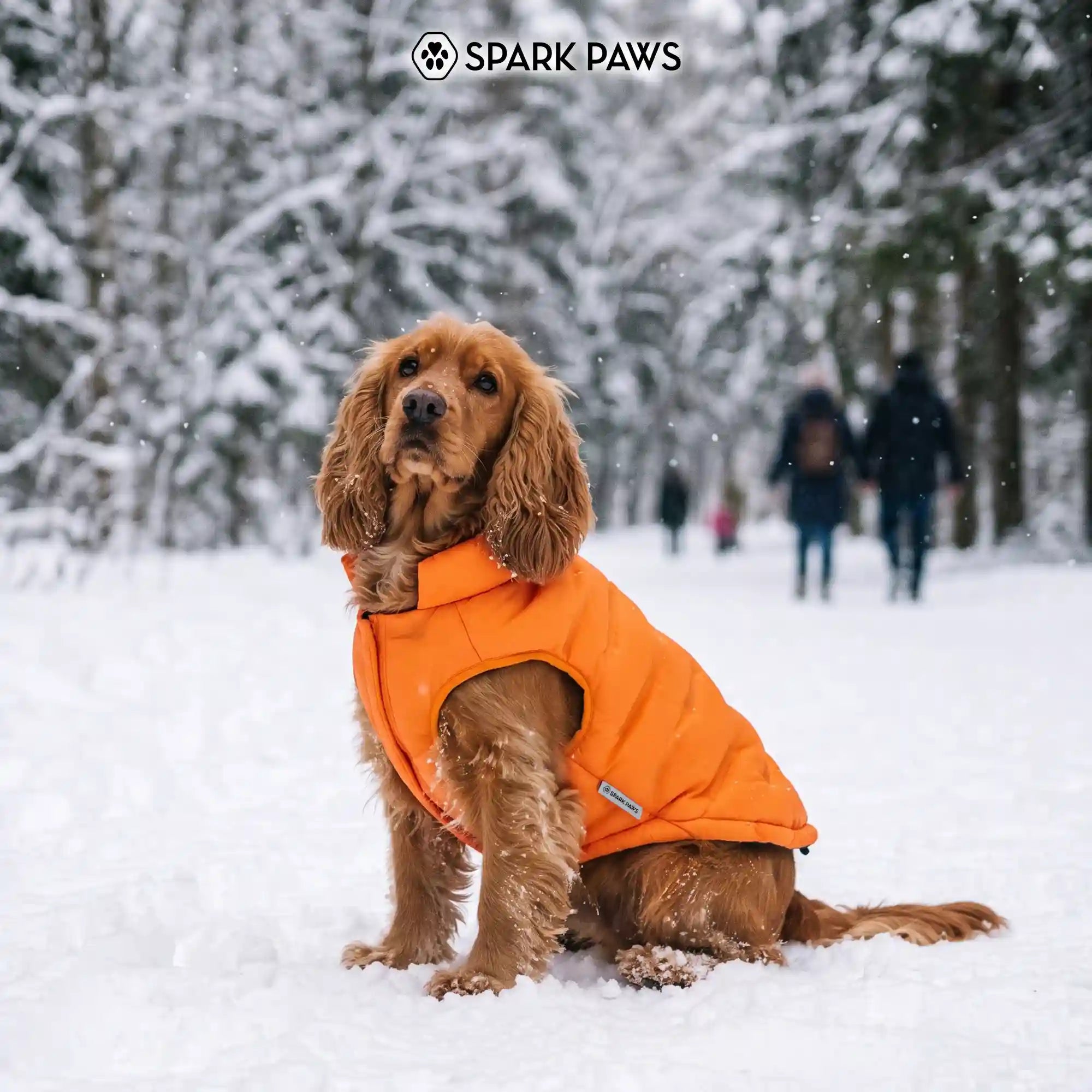 sparkpawsmaut.com