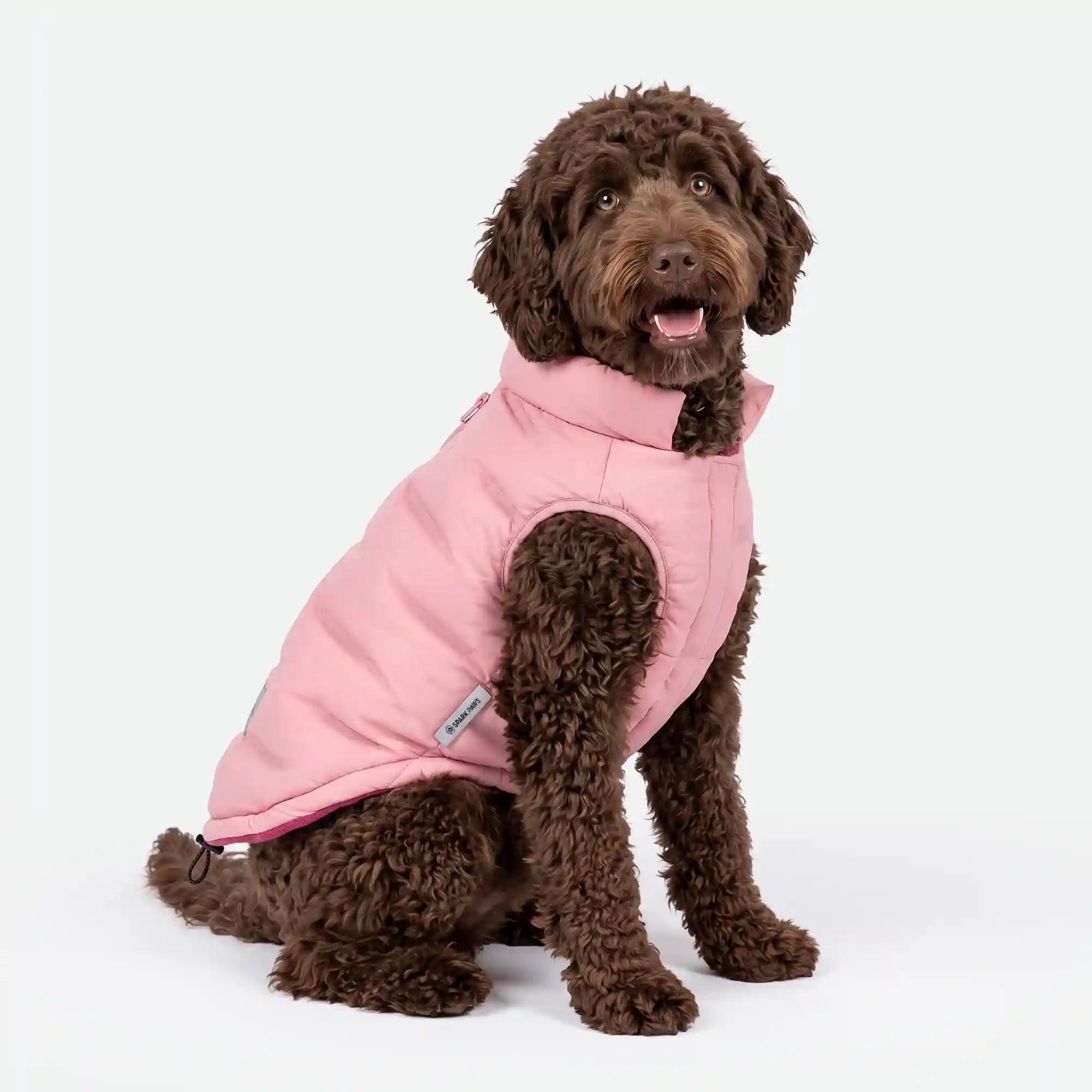 sparkpawsmaut.com