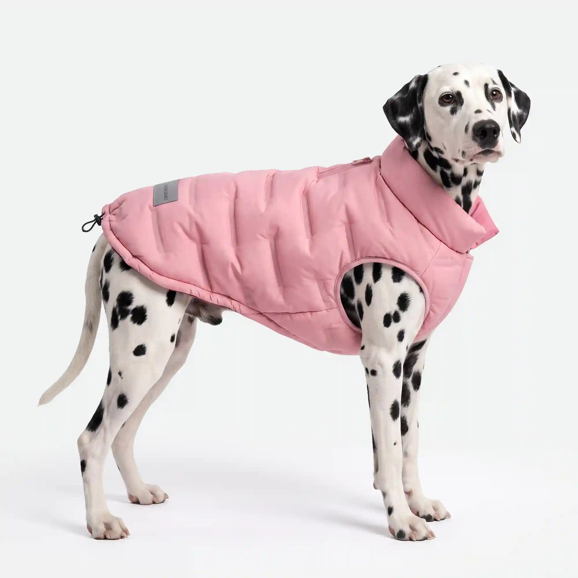 sparkpawsmaut.com