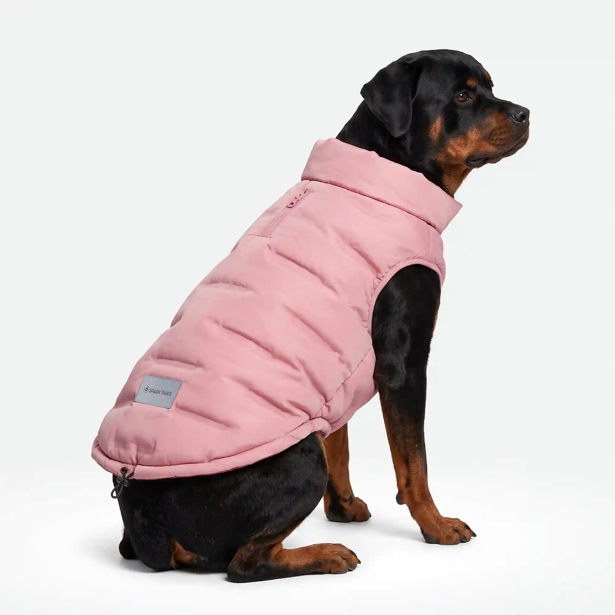 sparkpawsmaut.com