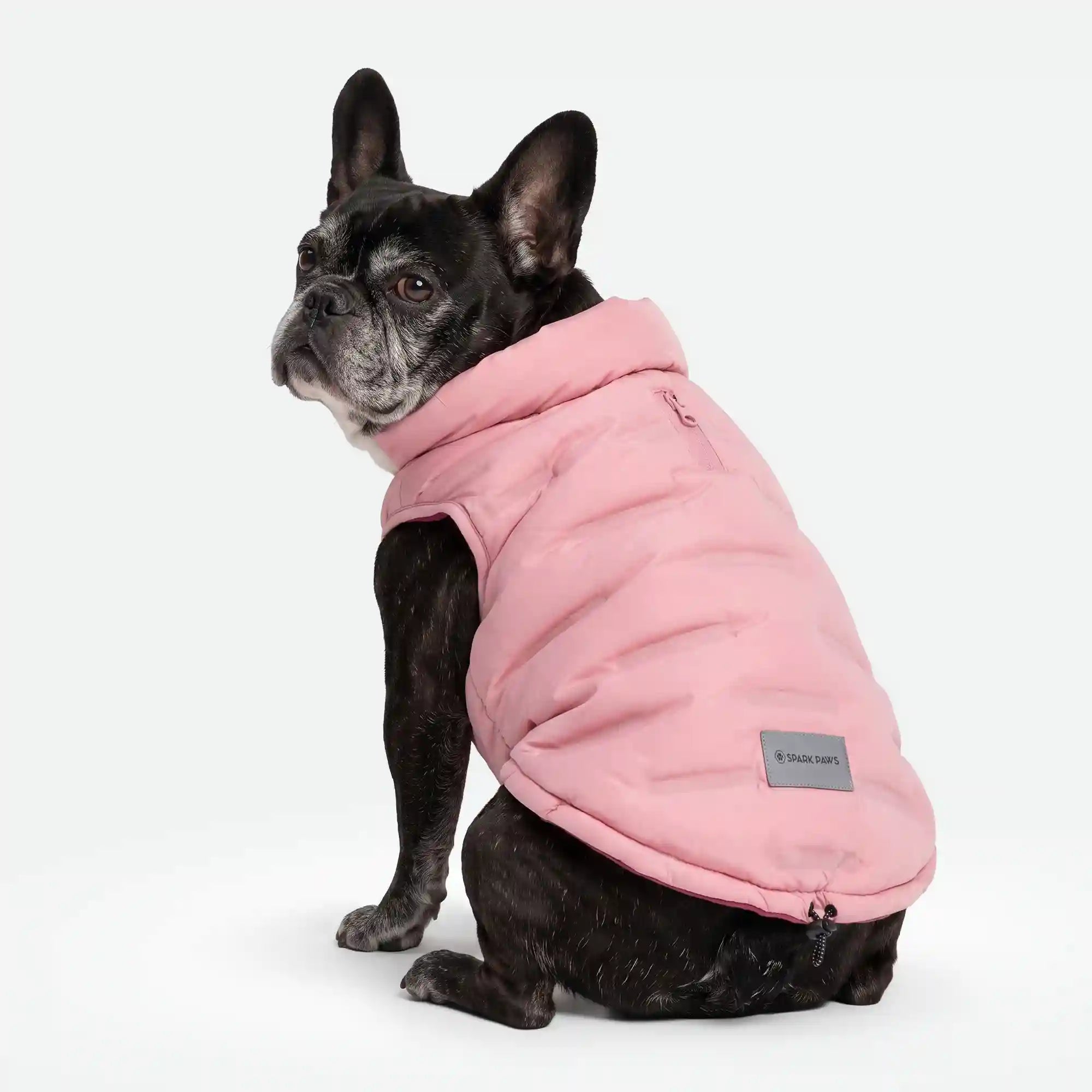 sparkpawsmaut.com