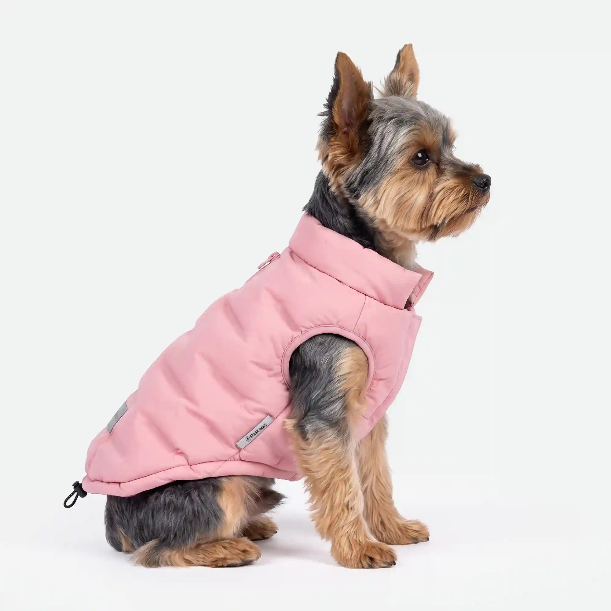 sparkpawsmaut.com