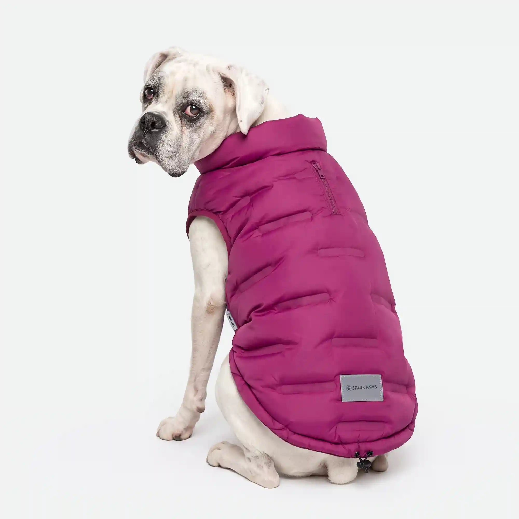 sparkpawsmaut.com