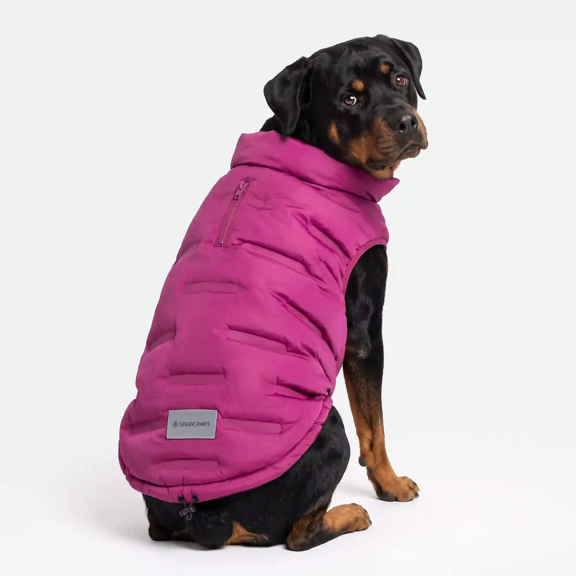 sparkpawsmaut.com