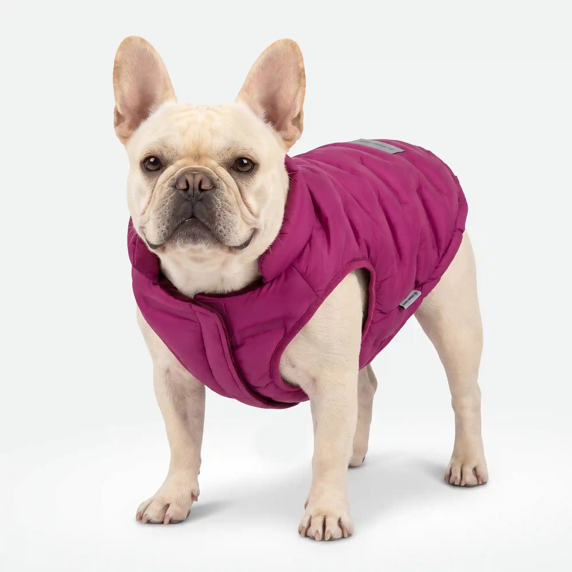 sparkpawsmaut.com