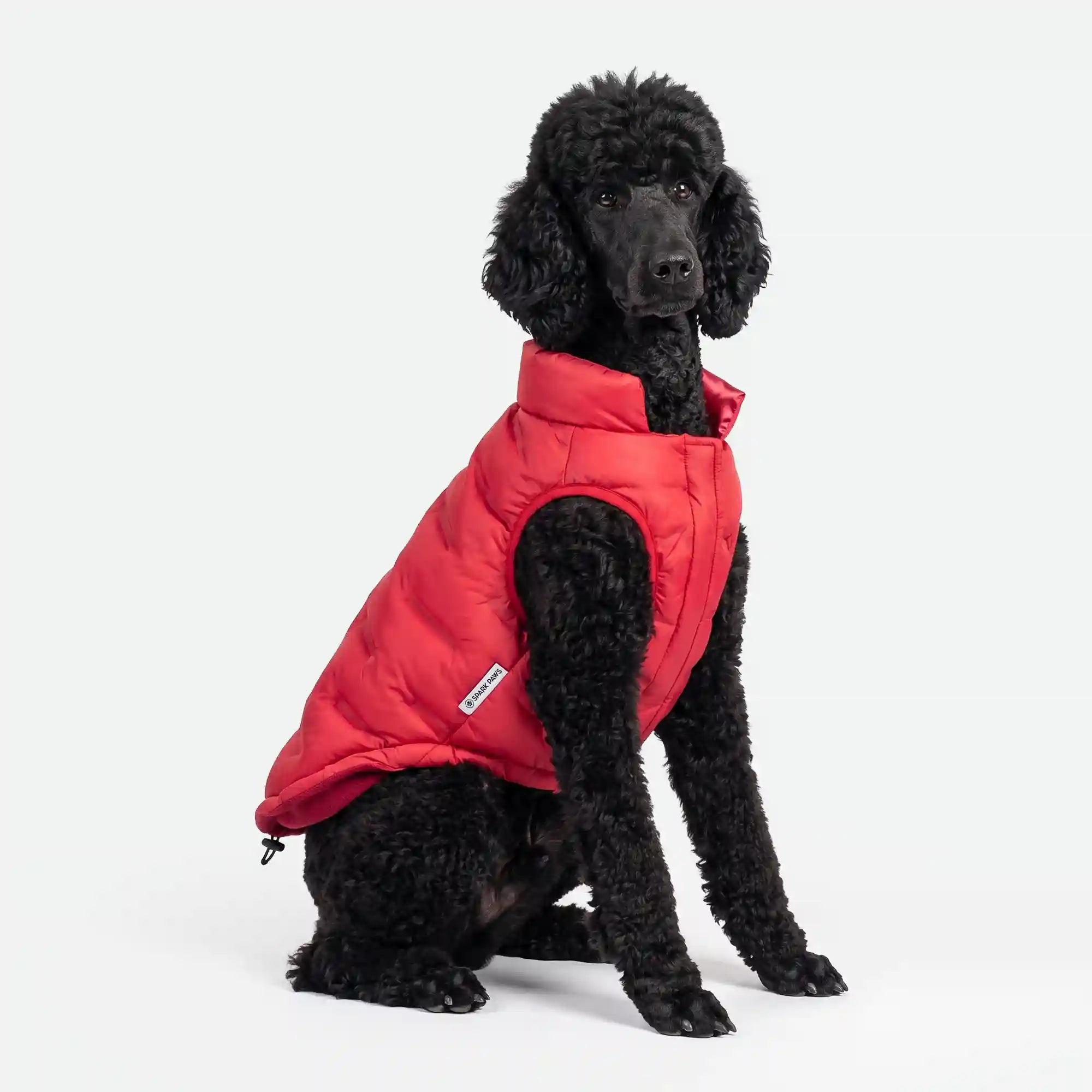 sparkpawsmaut.com