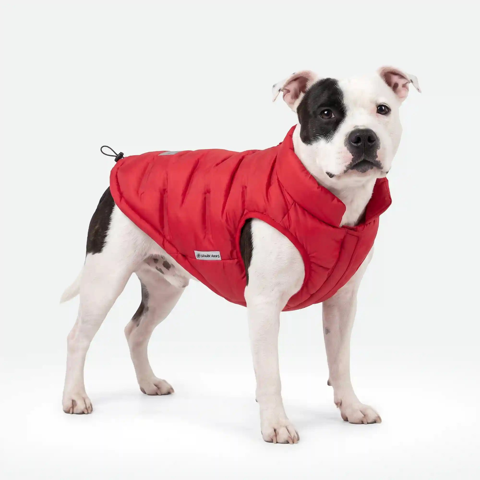 sparkpawsmaut.com