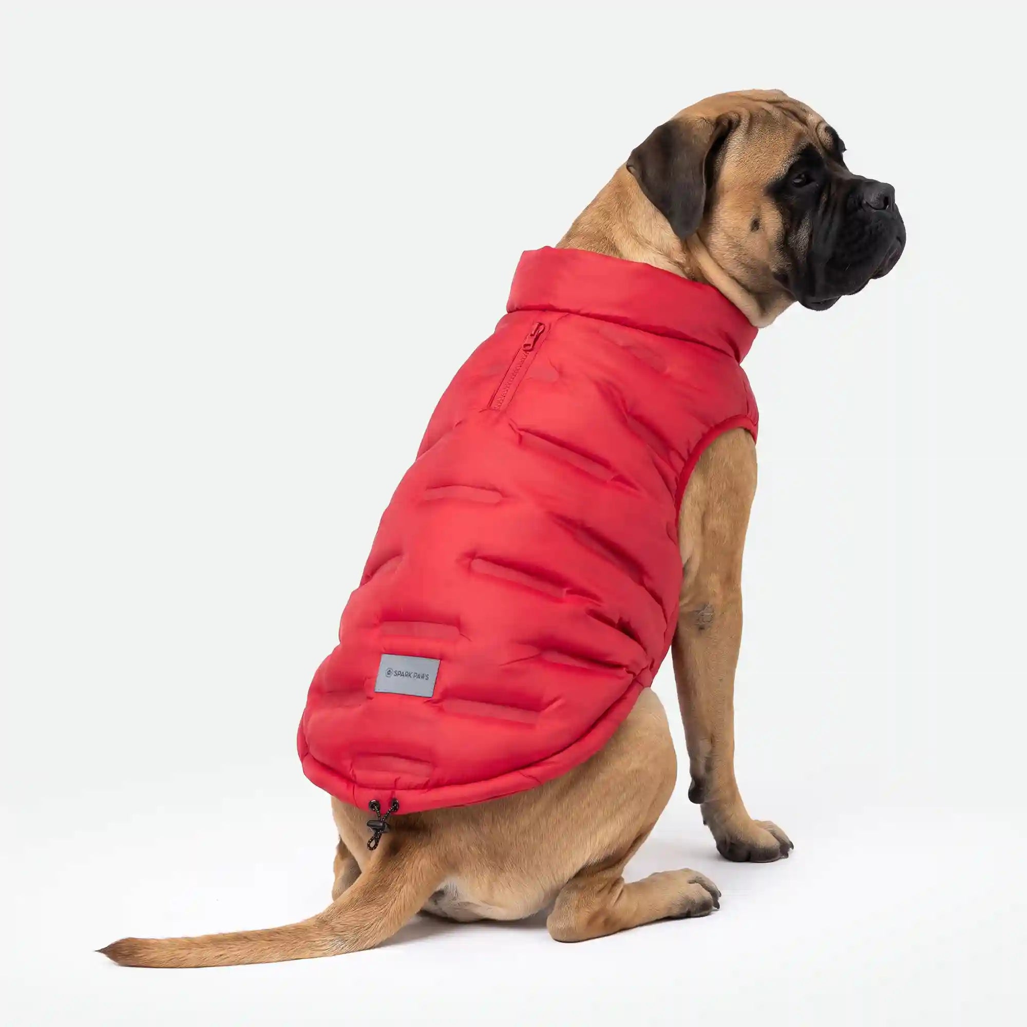 sparkpawsmaut.com