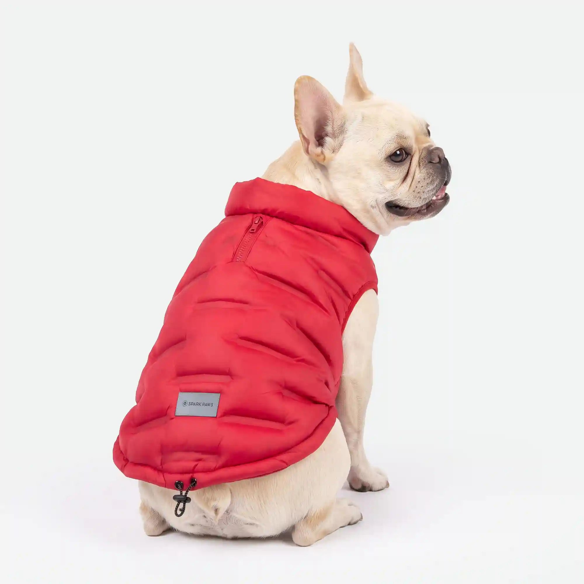 sparkpawsmaut.com