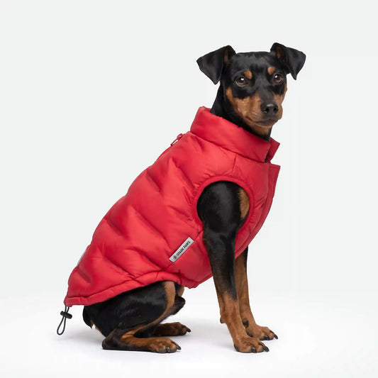 ThermoSonic Winter Jackets