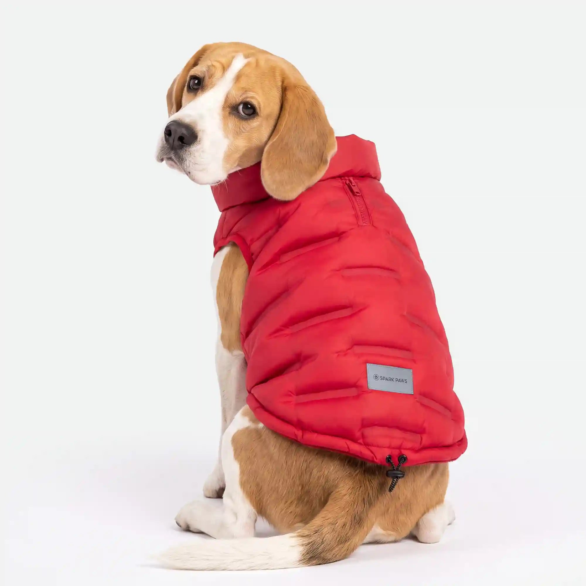 sparkpawsmaut.com