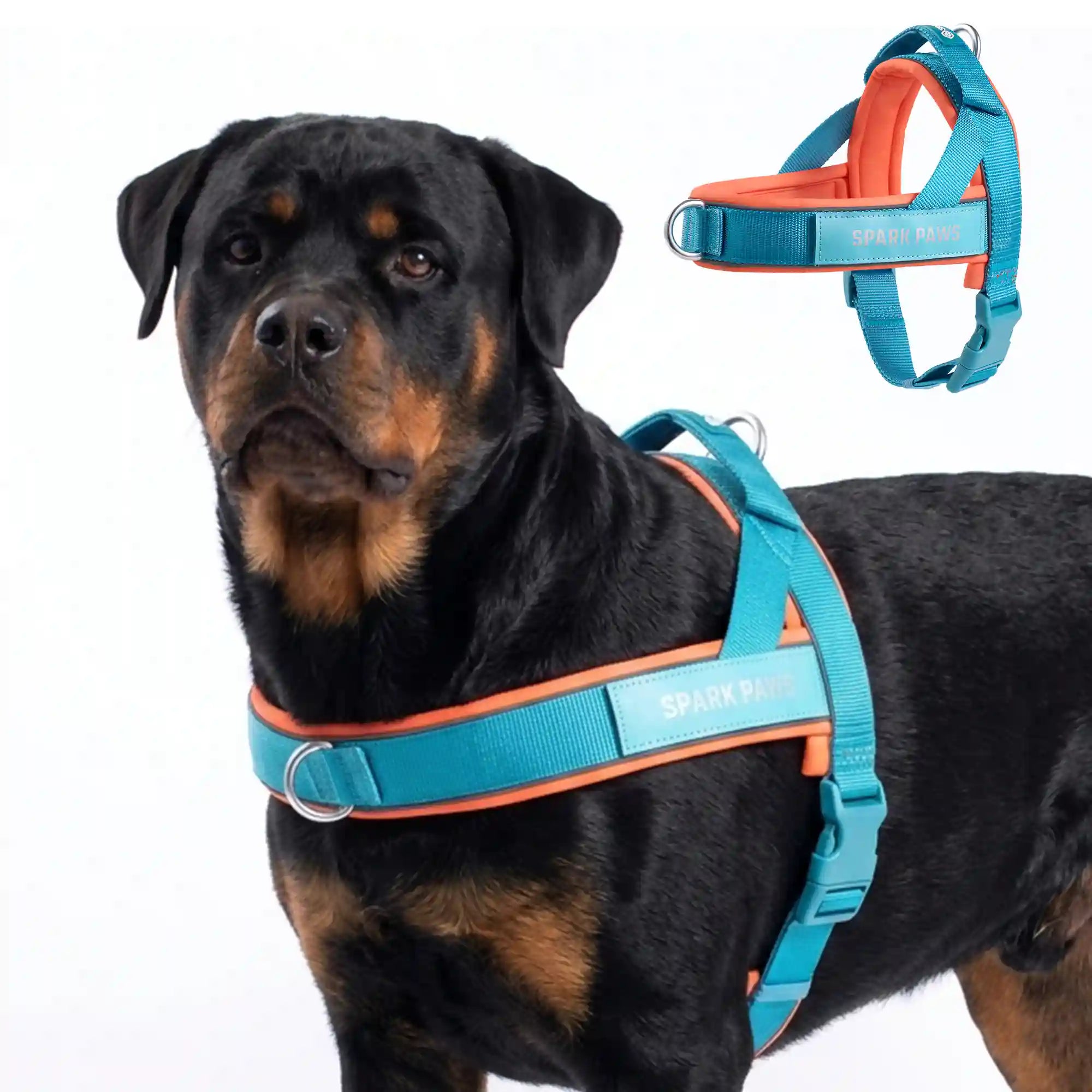 sparkpawsmaut.com
