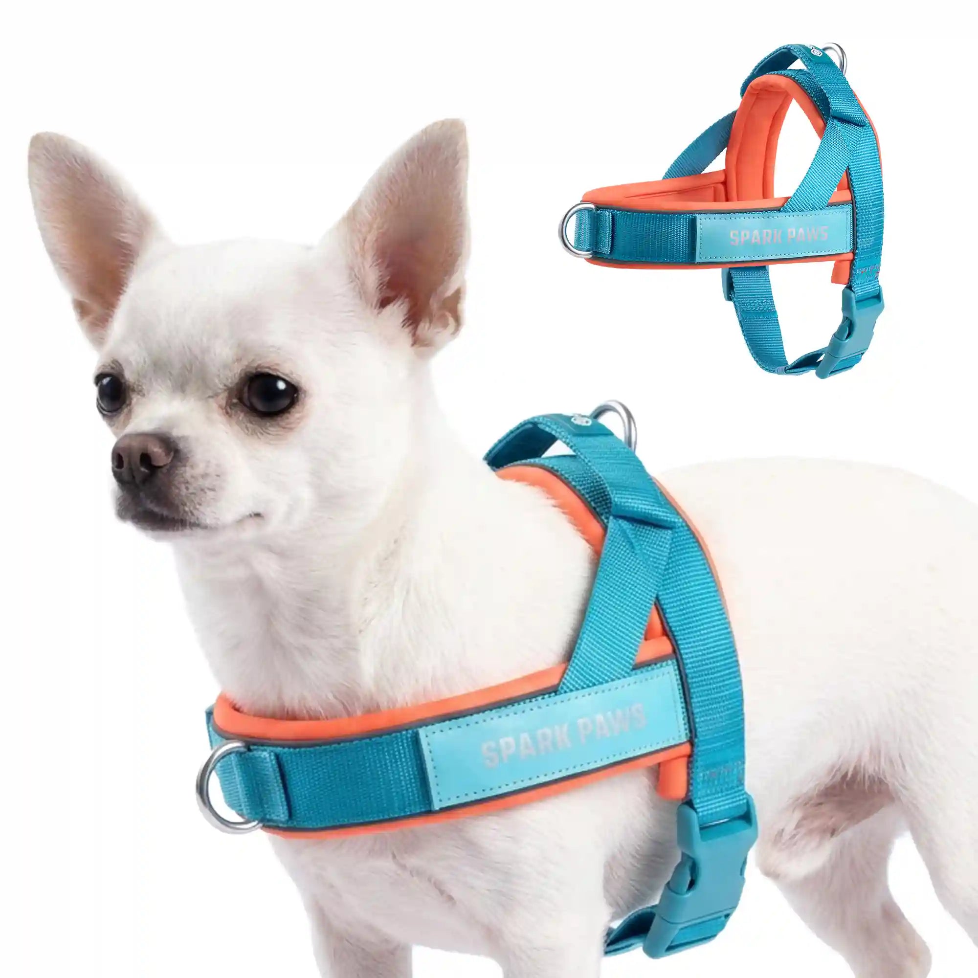 sparkpawsmaut.com