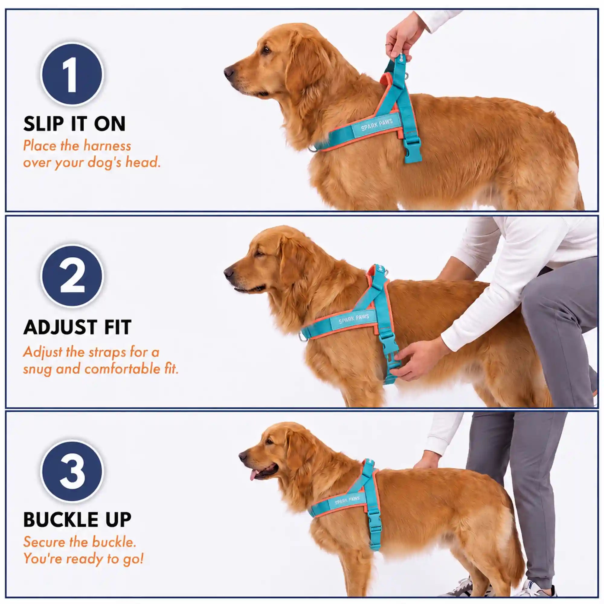 sparkpawsmaut.com
