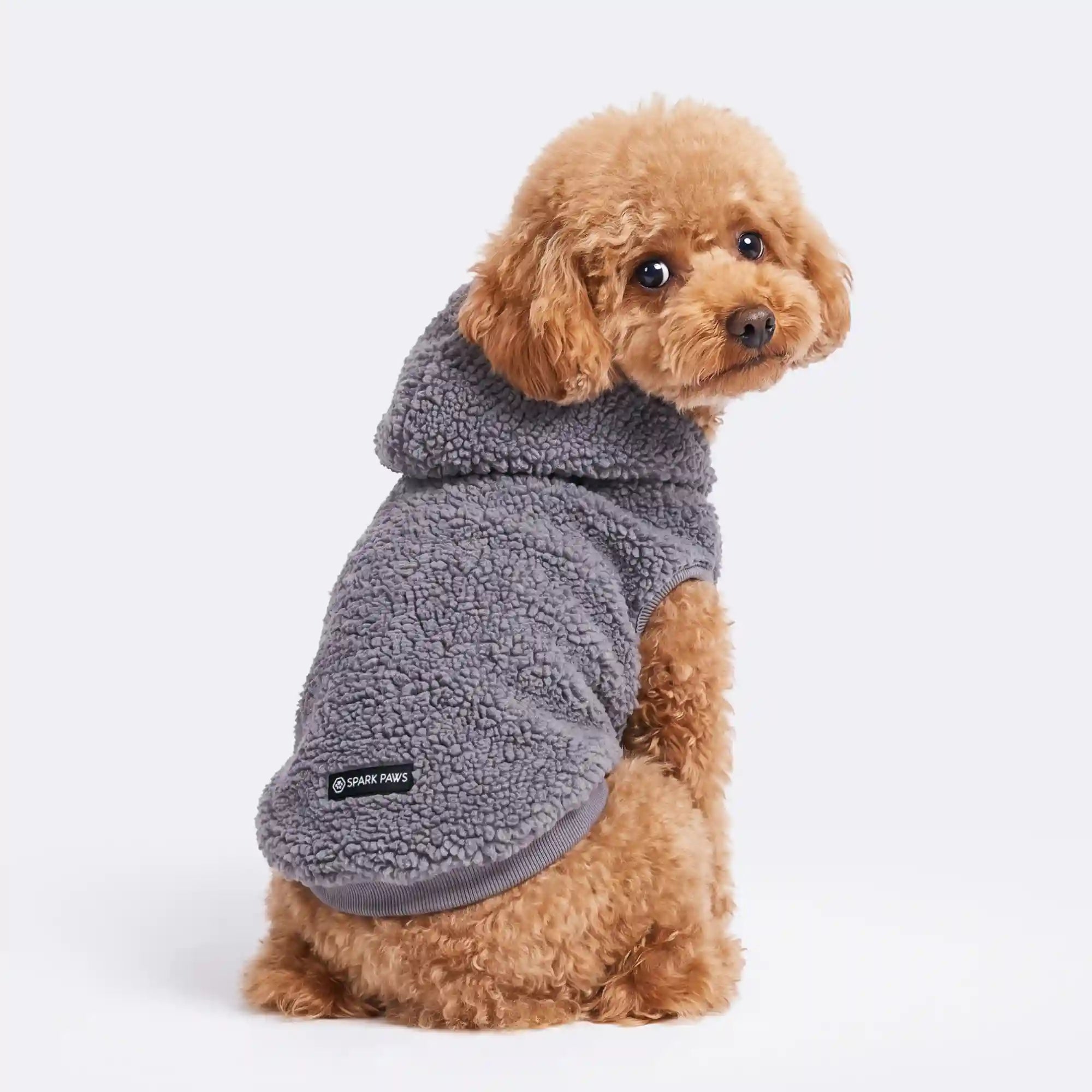 sparkpawsmaut.com