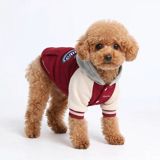 Dog Varsity Jacket - Red