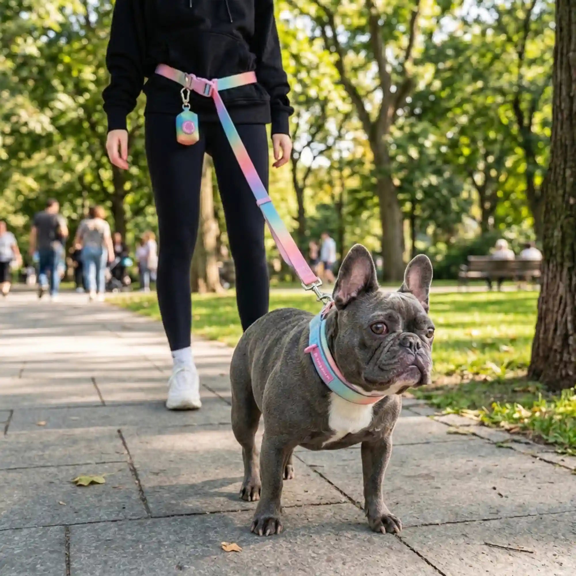 sparkpawsmaut.com